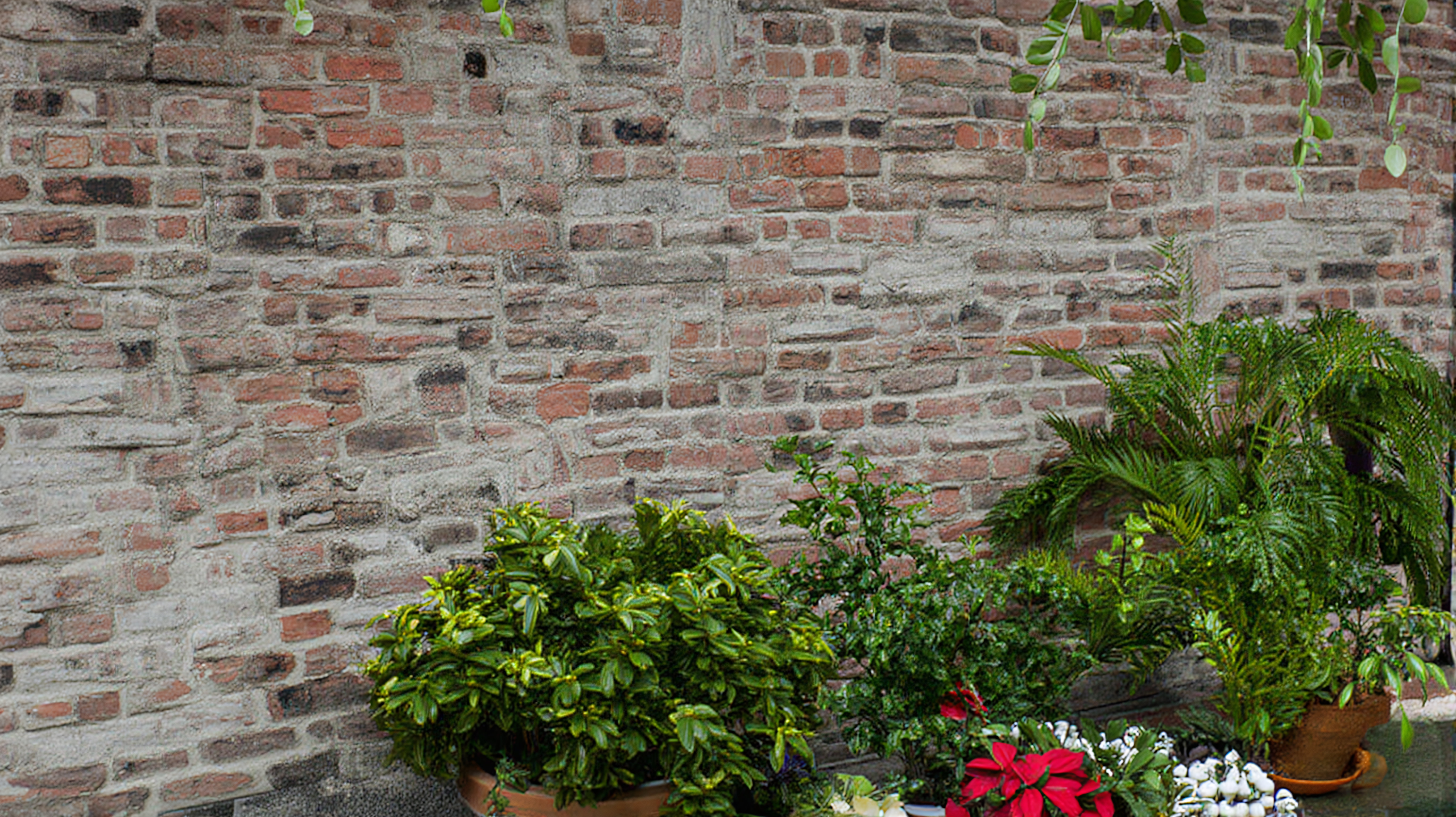 Rustic Brick Wall Garden with Potted Plants and Natural Light