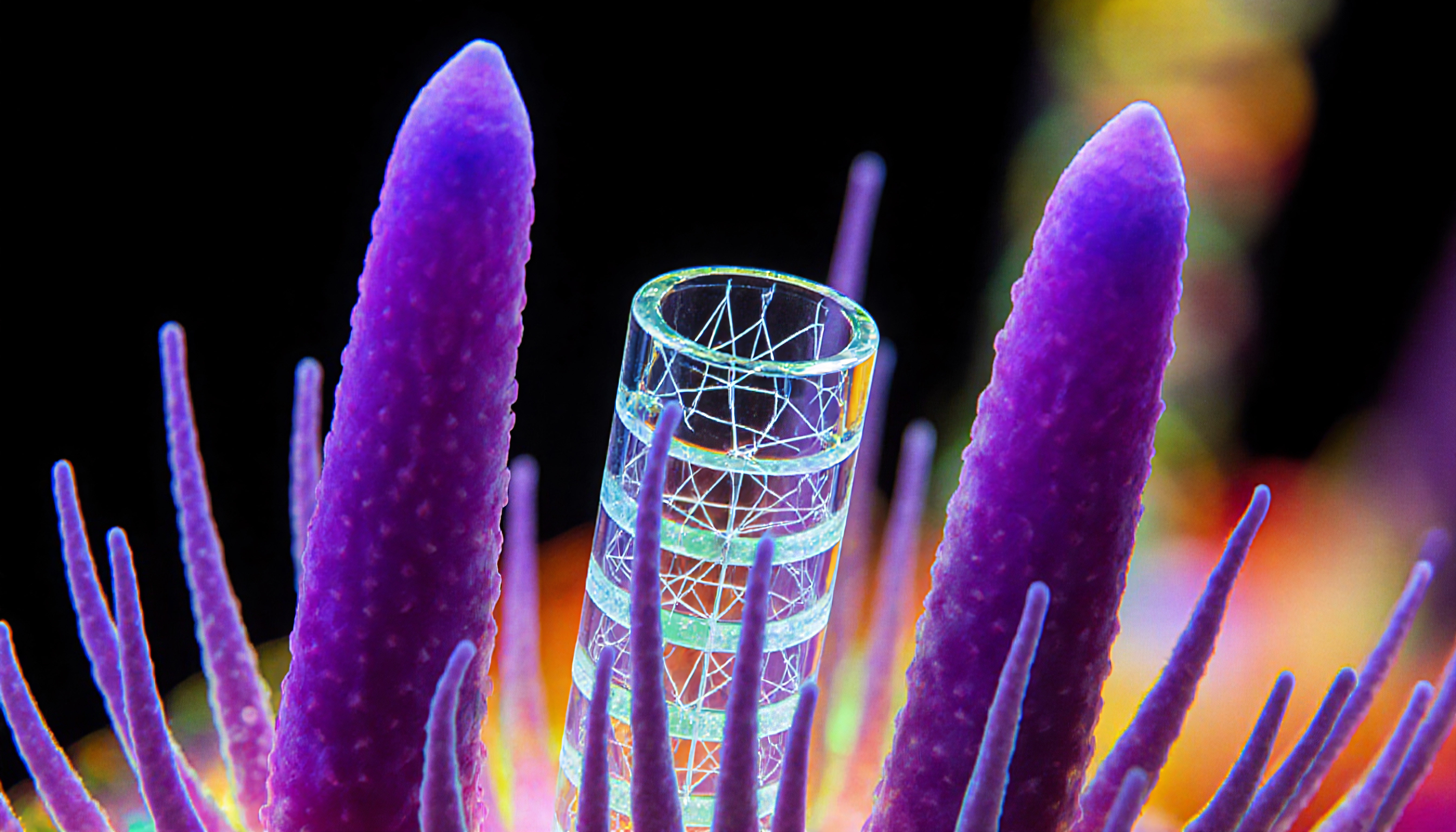 Abstract Scientific Visualization: DNA Helix Against Vibrant Bioluminescent Backdrop