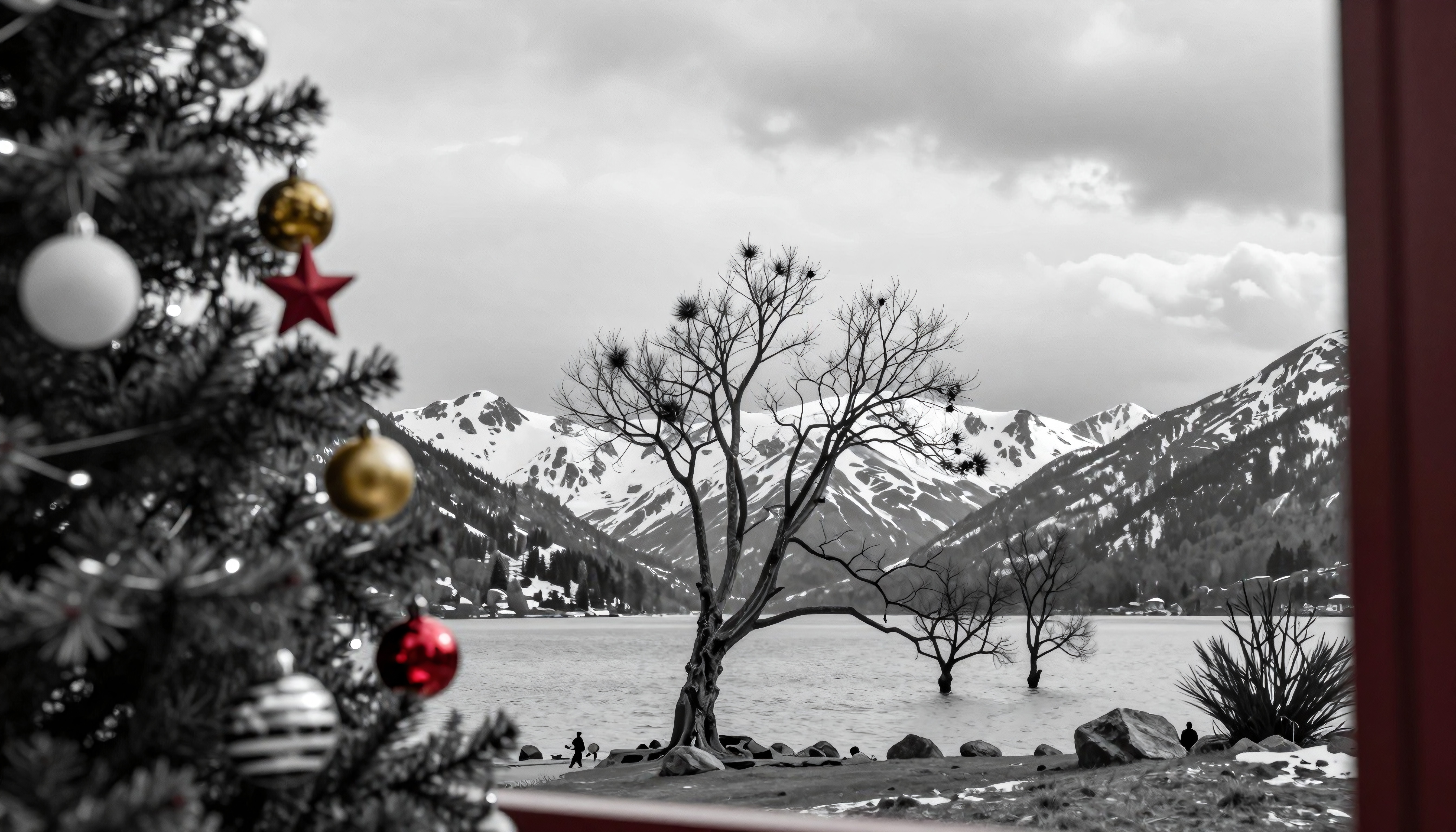 Holiday Contrast Through Window