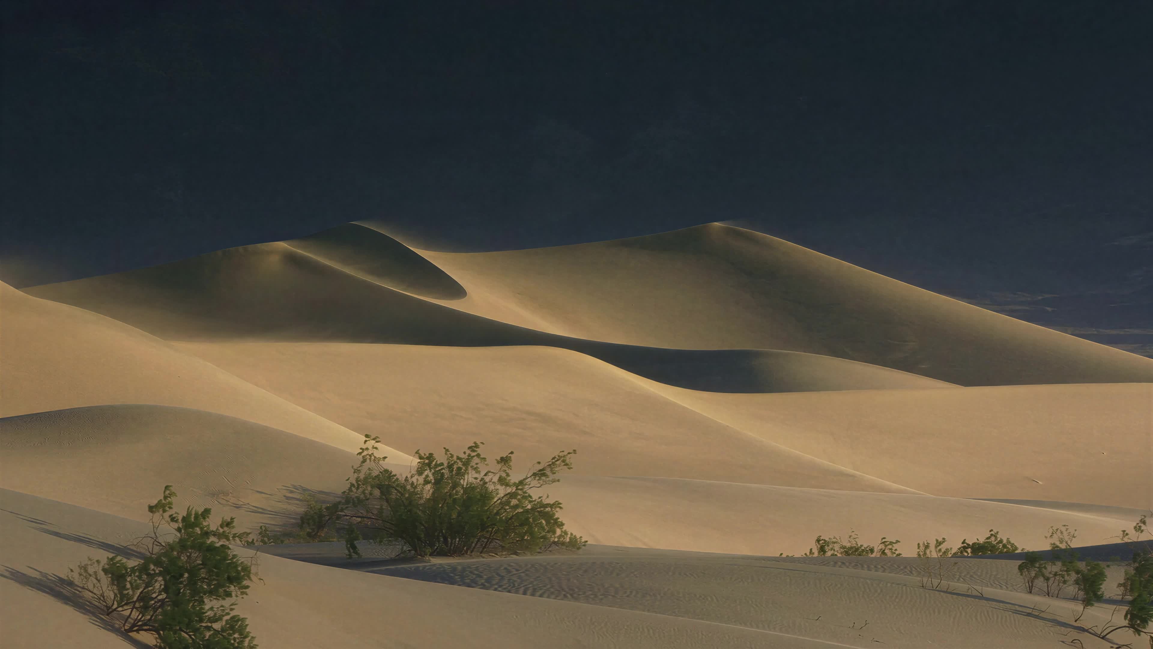 4K video of a golden dune landscape under twilight sky with shadows and sparse vegetation.