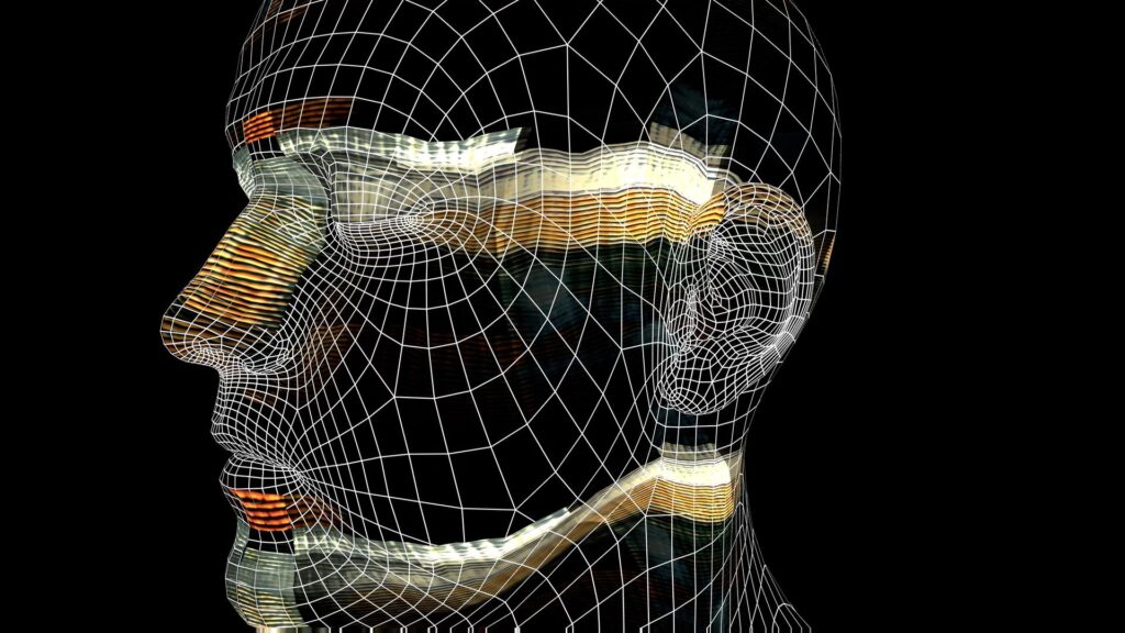 Free HD video 3D animated wireframe human head with shifting colors and patterns.