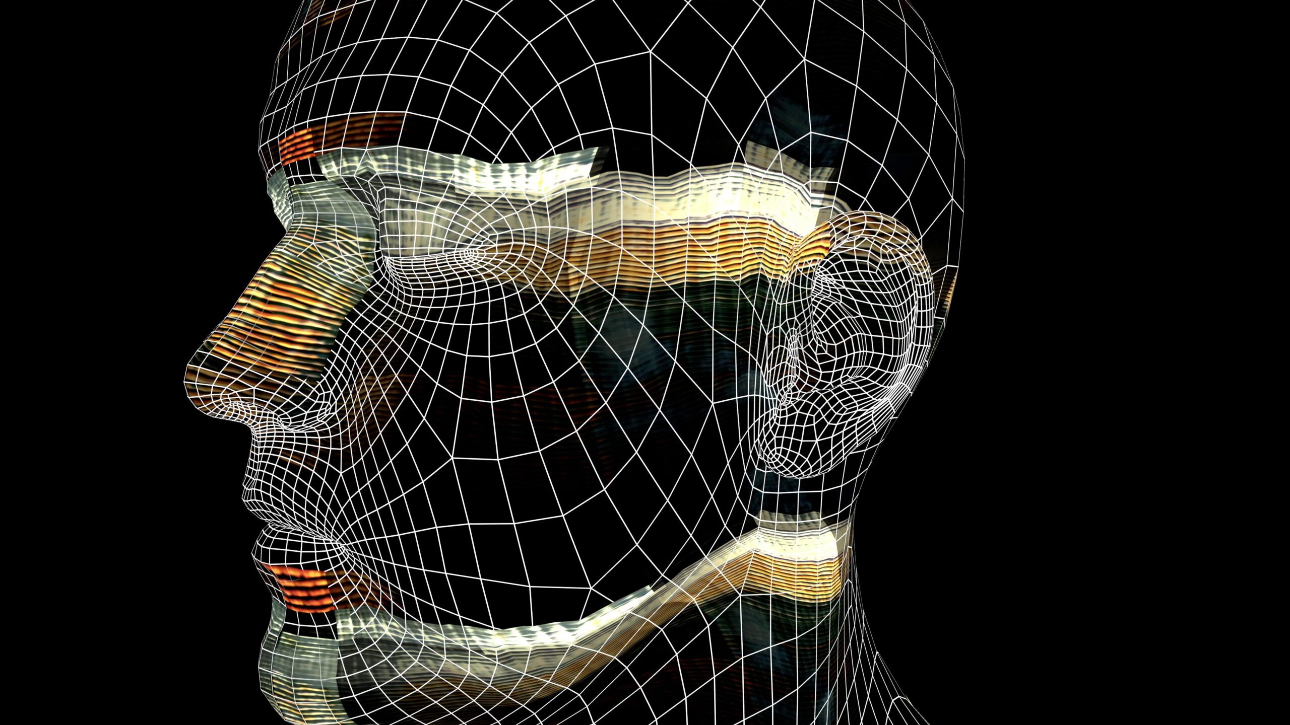 4K video loop of am animated wireframe human head with shifting colors and patterns.