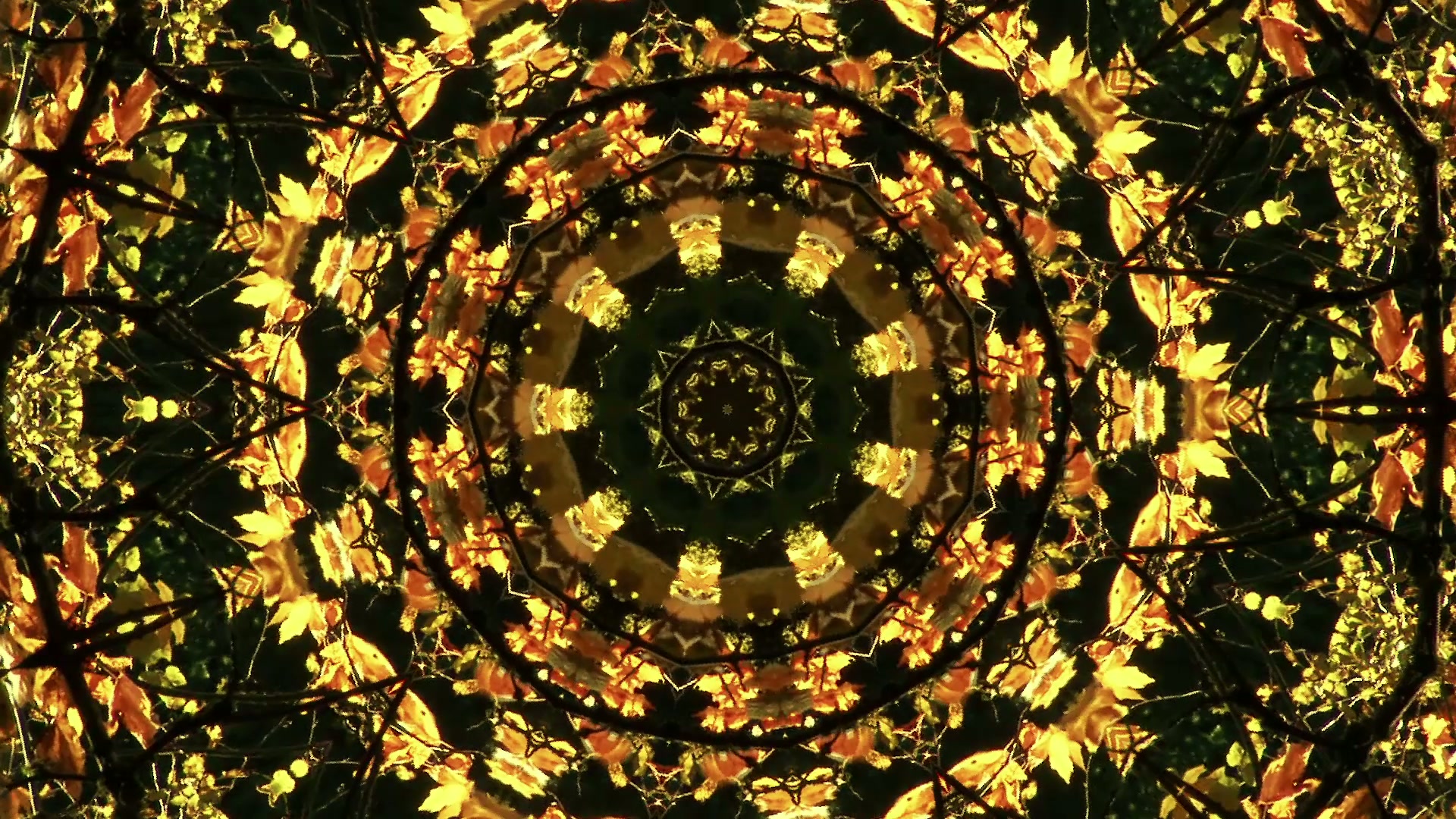 Intricate golden leaf kaleidoscope mandala video loop.
