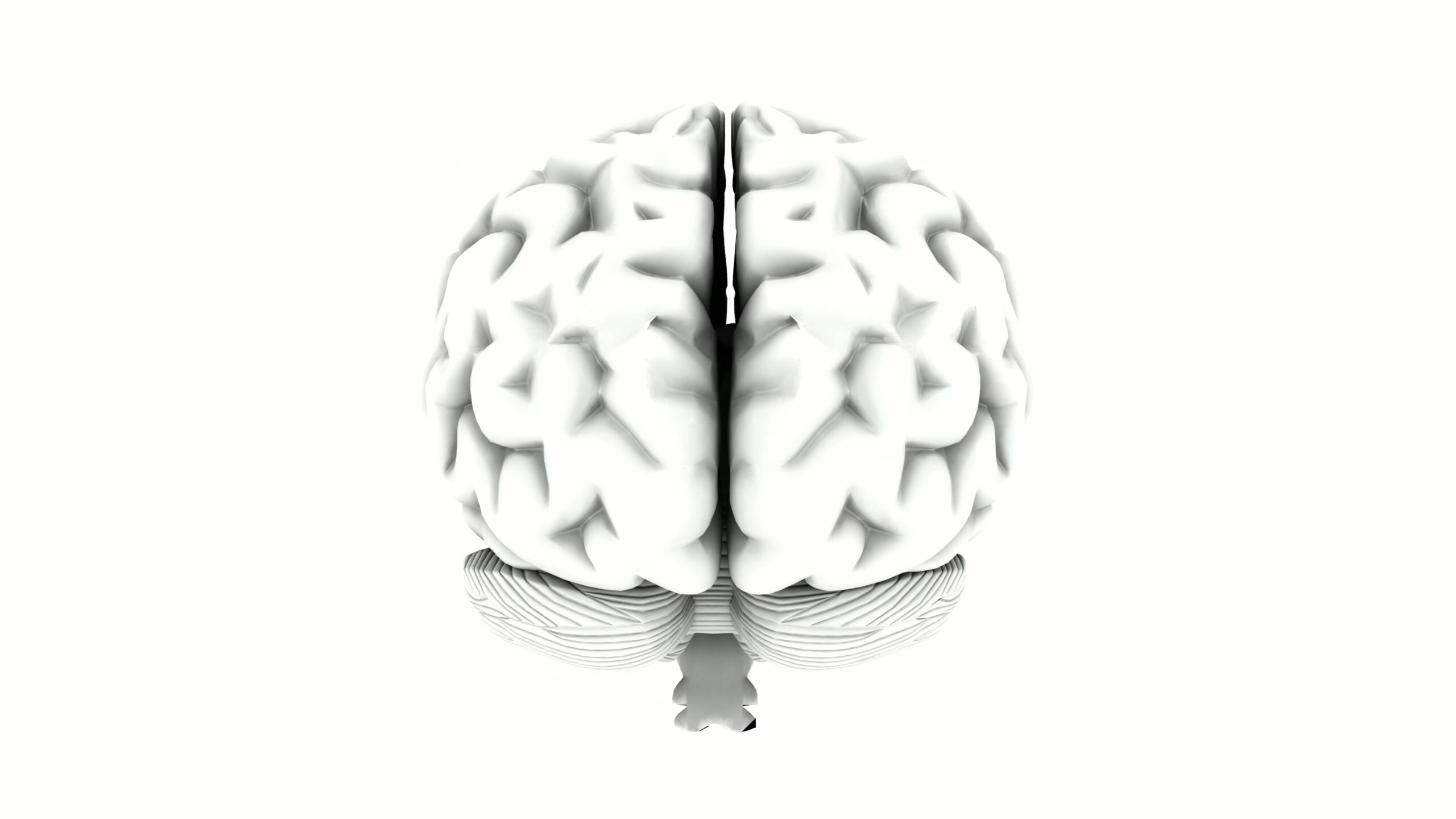 Video loop animation of a rotating human brain on a white background, highlighting cerebrum, cerebellum, and brainstem.