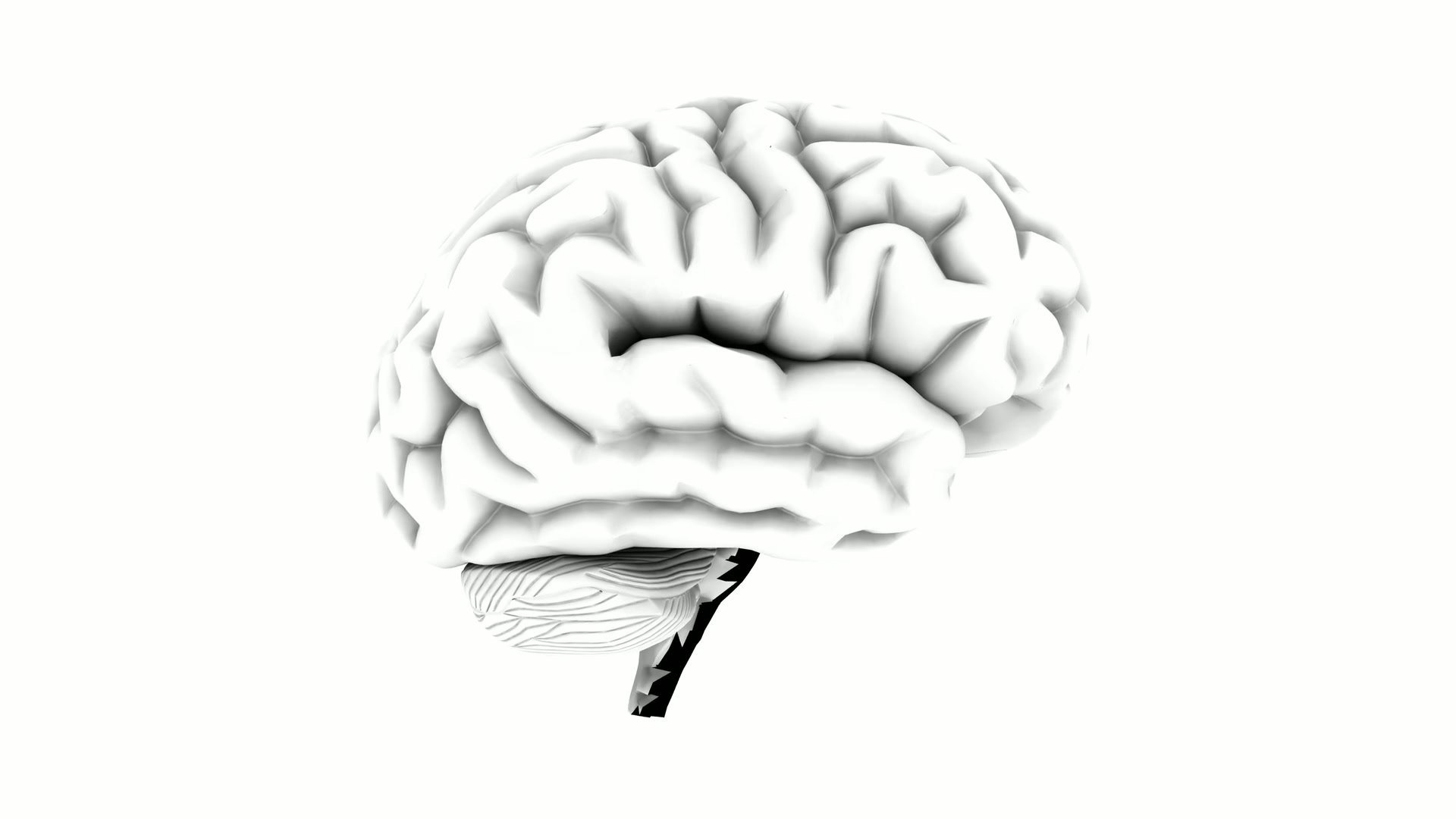 The video loop depicts a 3D rendering of a rotating human brain against a plain white background.