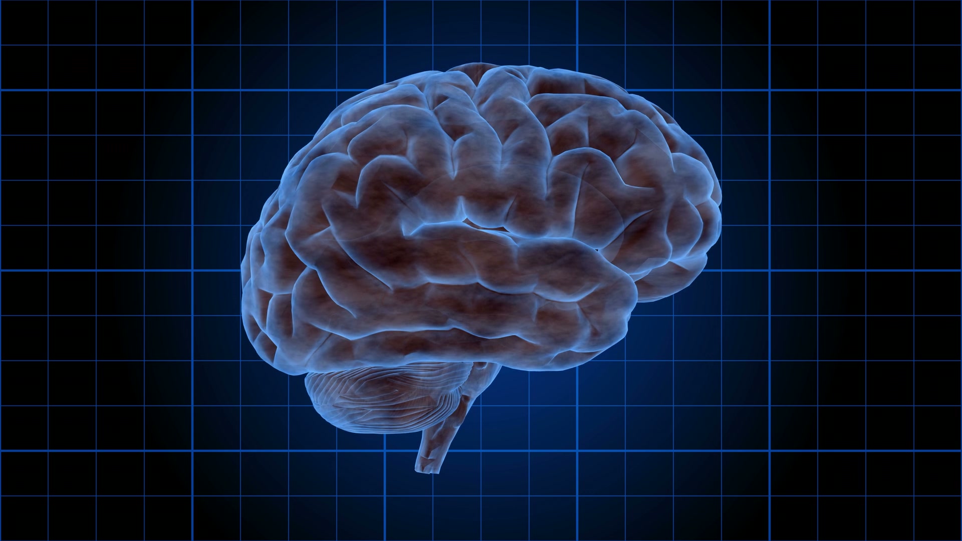 Animation loop of a glowing human brain rotating against a blue grid background, depicting scientific and technological exploration in neurology.