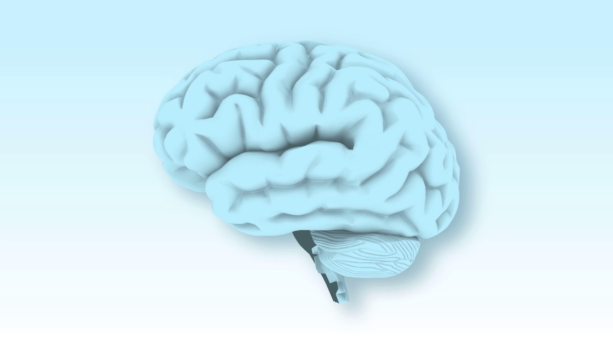 3D rendering of a rotating, light blue human brain with visible hemispheres and cerebellum on a soft gradient background.