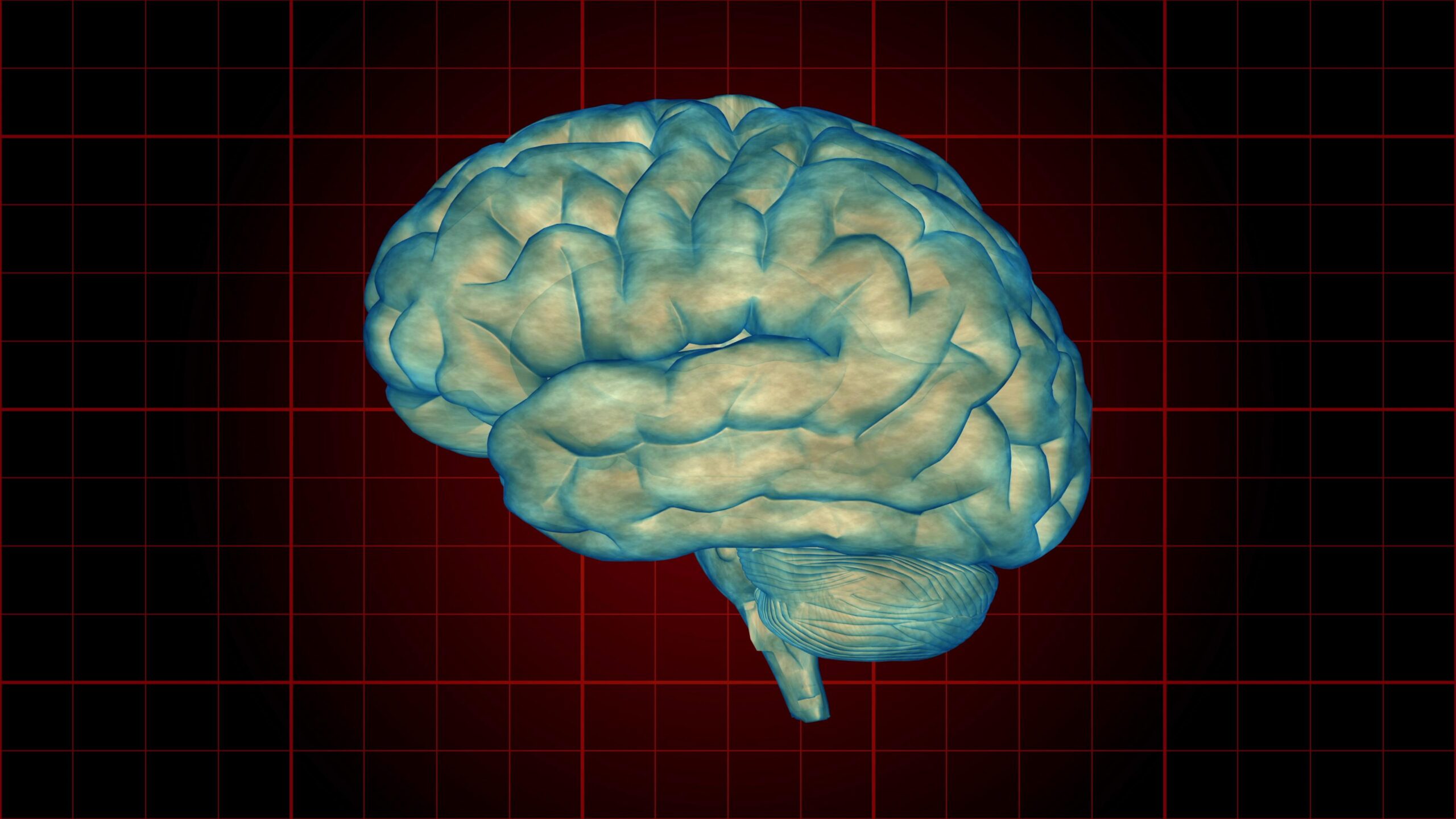 4K video loop of a rotating human brain over a digital red and black grid background.