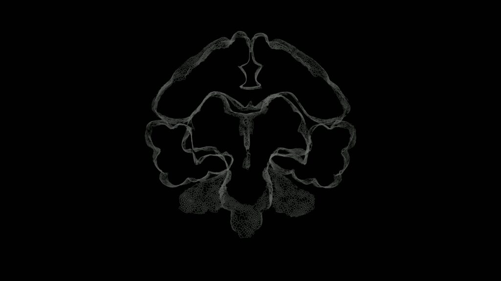 Wireframe Brain Scan Visualization 4K Video