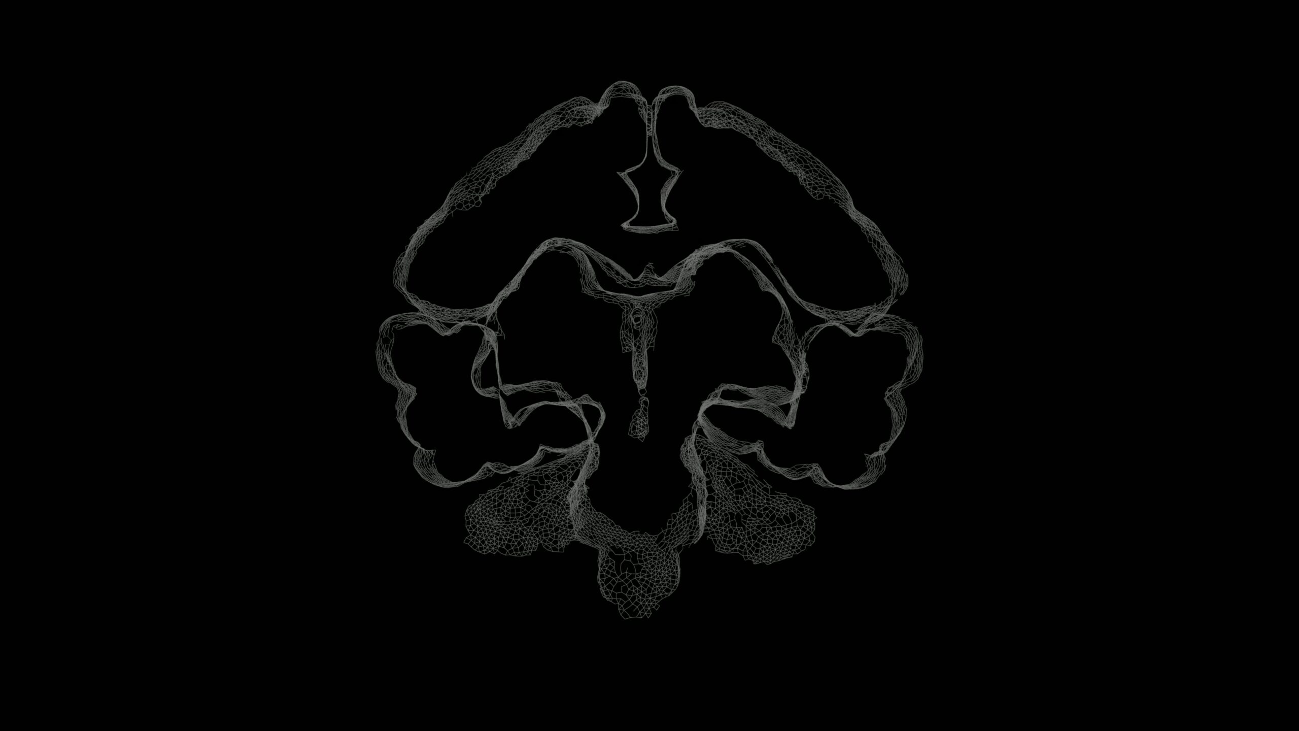Intricate wireframe brain scan on black 4K video background.