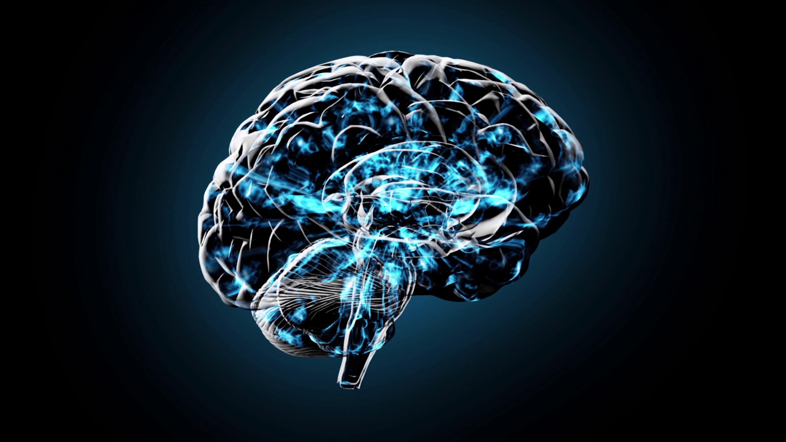 Digital 4K video loop of a human brain with blue neural pathways and glowing electrical impulses on a dark background.