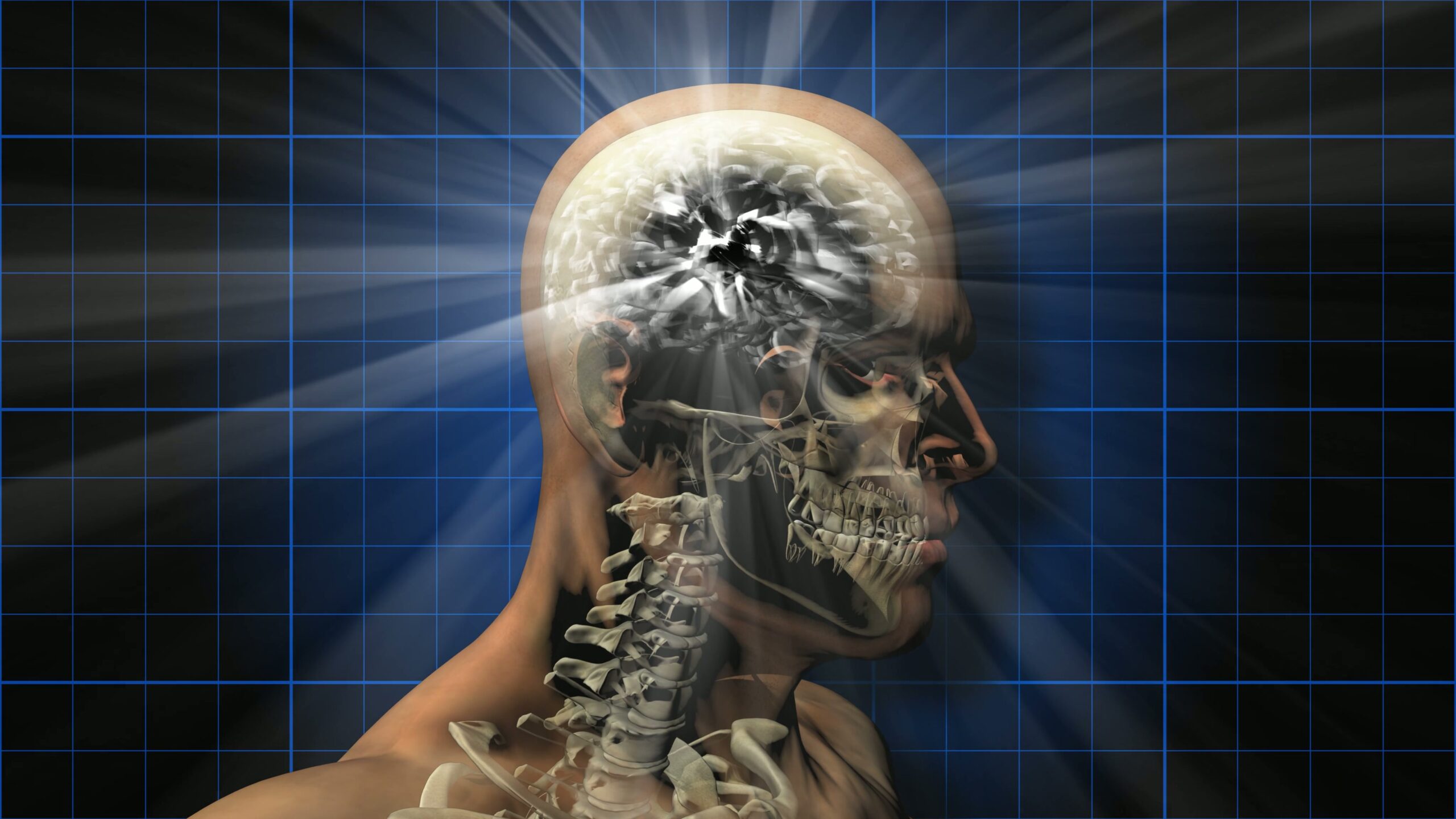 X-ray video loop of a rotating human skull with radiant brain activity, set against a blue grid background.