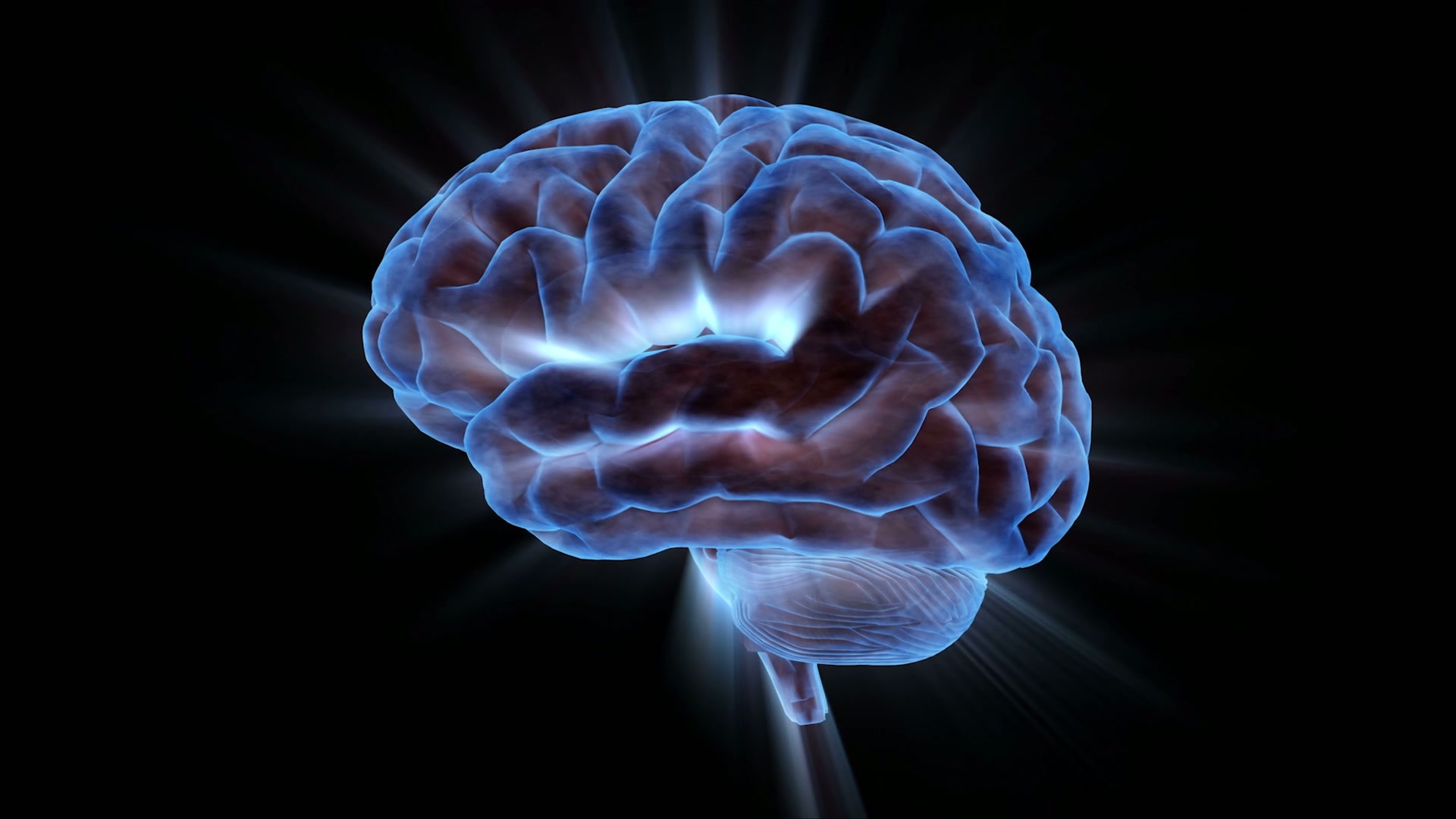 A 3D animation loop of an illuminated blue human brain rotating against a dark background.