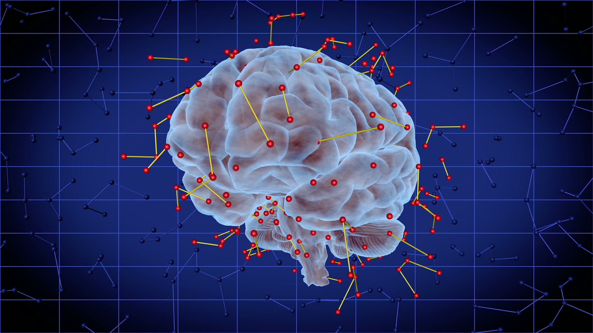 Video loop of a human brain with network connections visualizing neural pathways and synapses on a digital blue grid background.