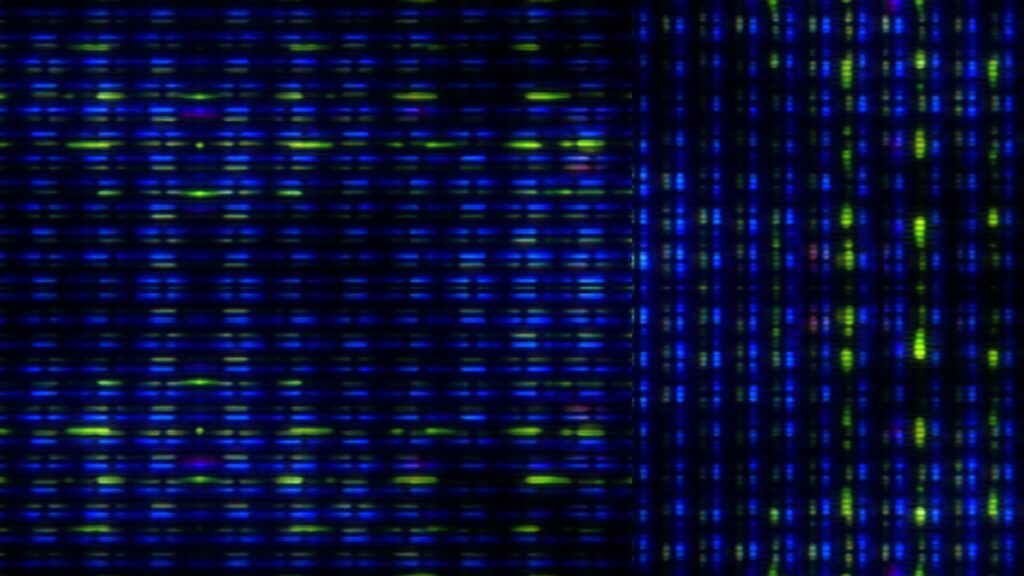 An abstract looping technology pattern consisting of horizontal and vertical device screen lines.