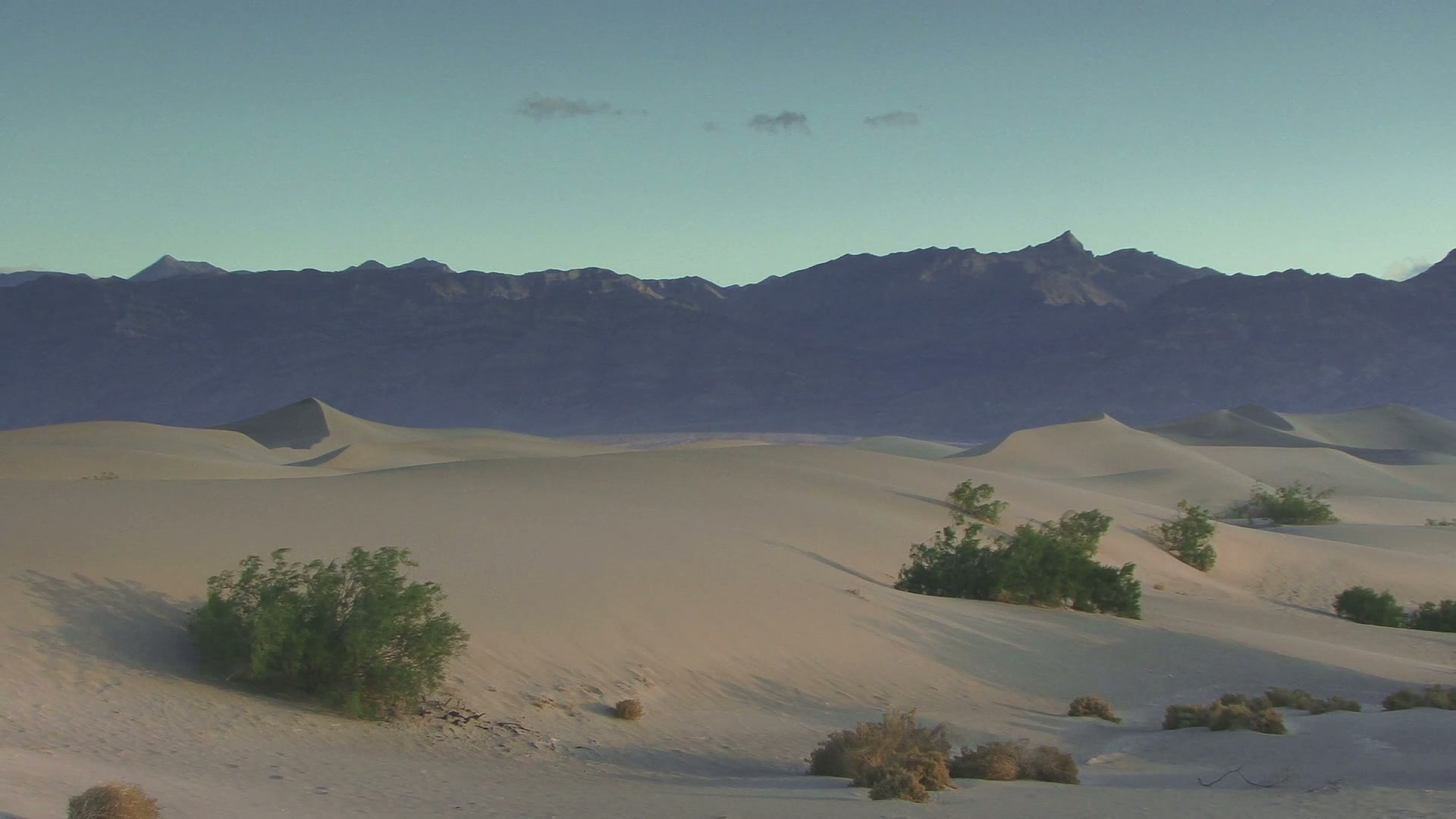 A serene desert landscape with rolling sand dunes, green shrubs, and a range of dark mountains under a clear blue sky.