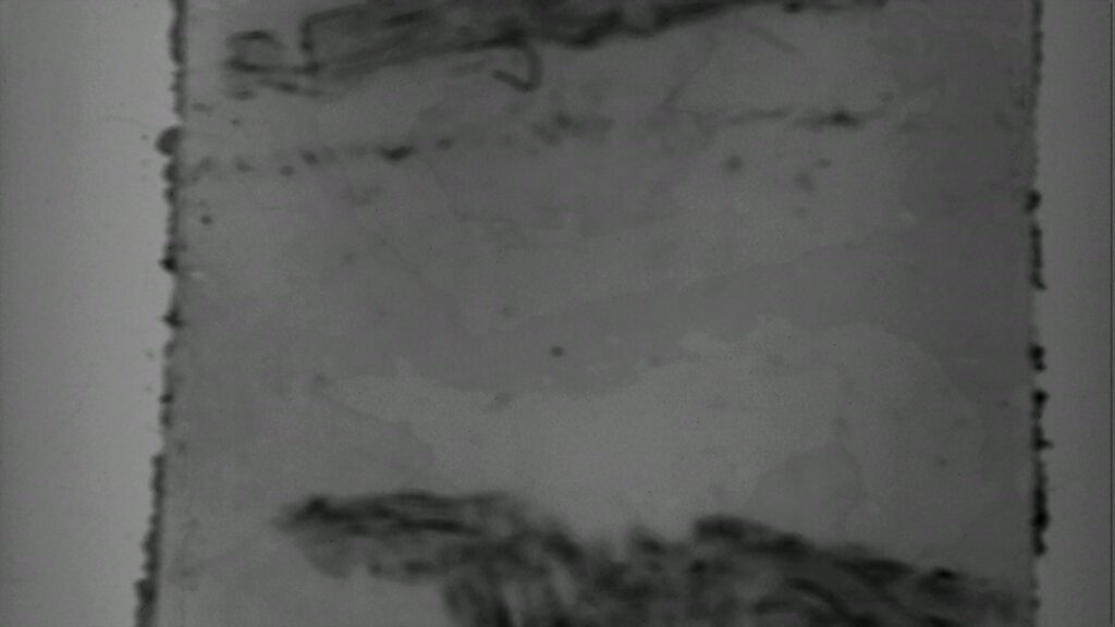 Abstract grayscale film leader with splices, punch holes, writing and film damage.