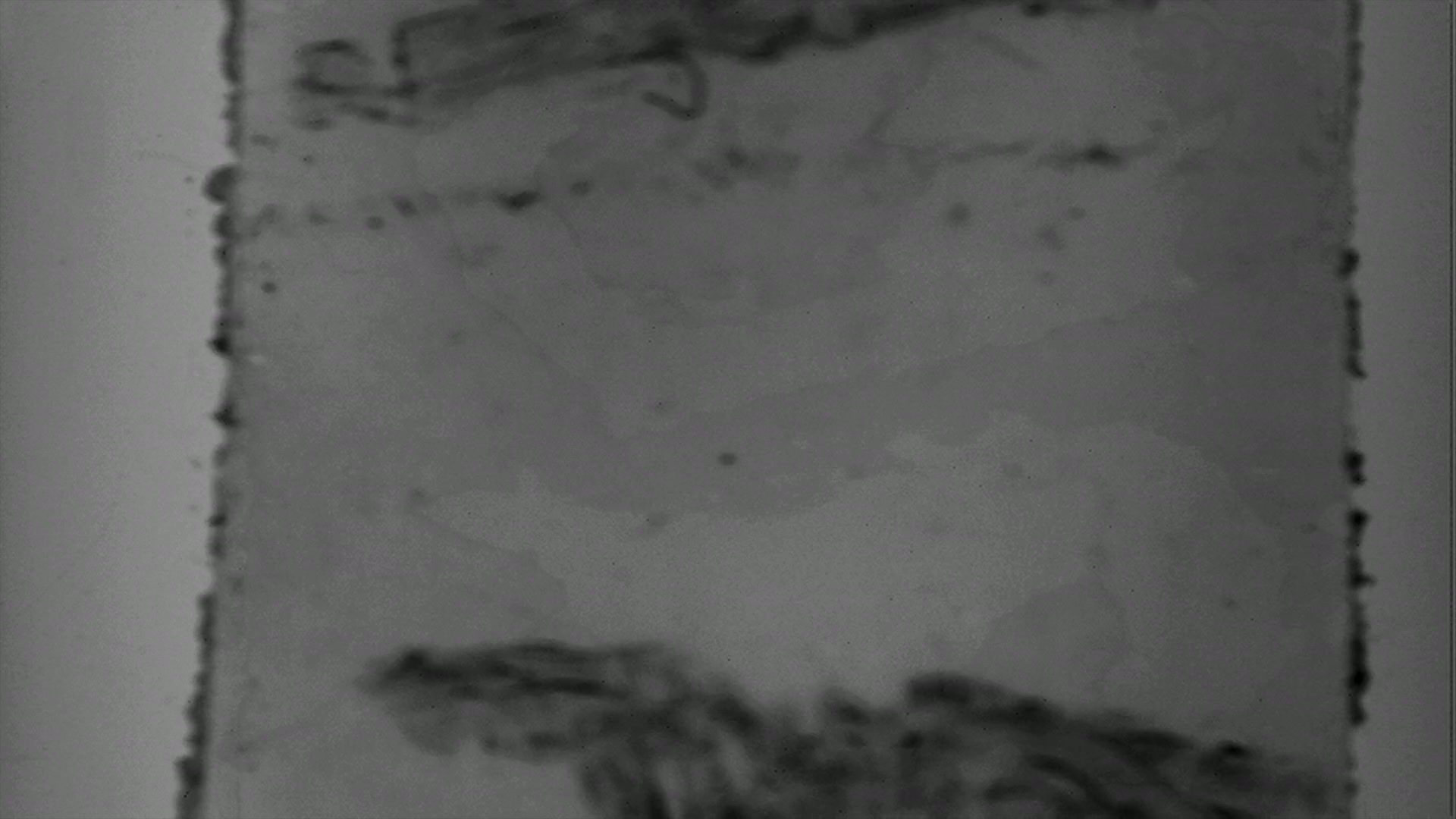 Abstract grayscale film leader with splices, punch holes, writing and film damage.
