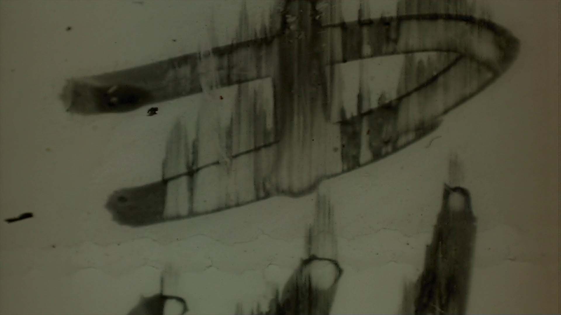 Looping video of aged, damaged film leader with dust, scratches and writing.