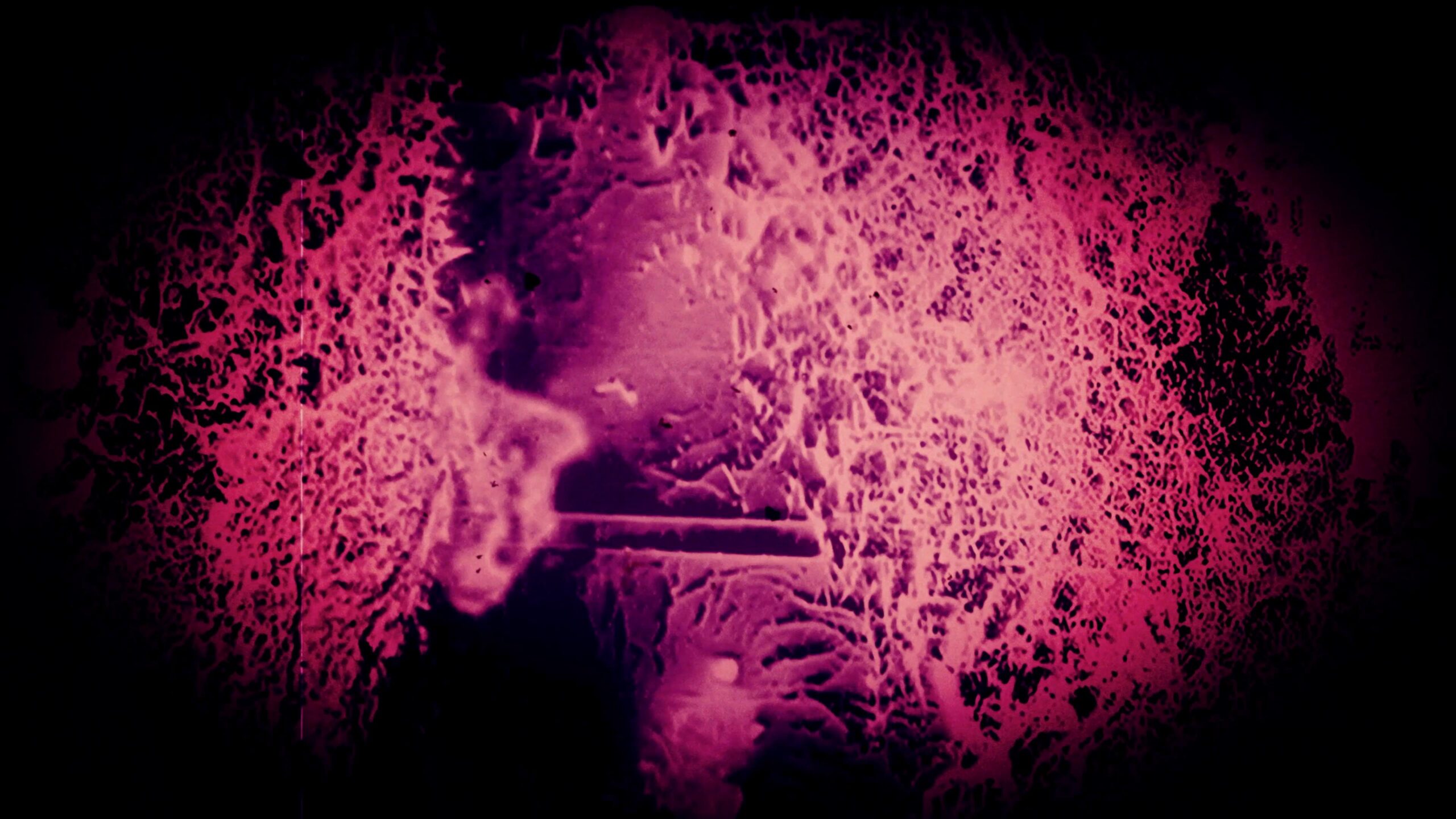 The 4K video loop is dominated by a vibrant blend of yellow and purple hues against a dark background, creating an abstract visual that evokes a sense of surreal motion and digital distortion.