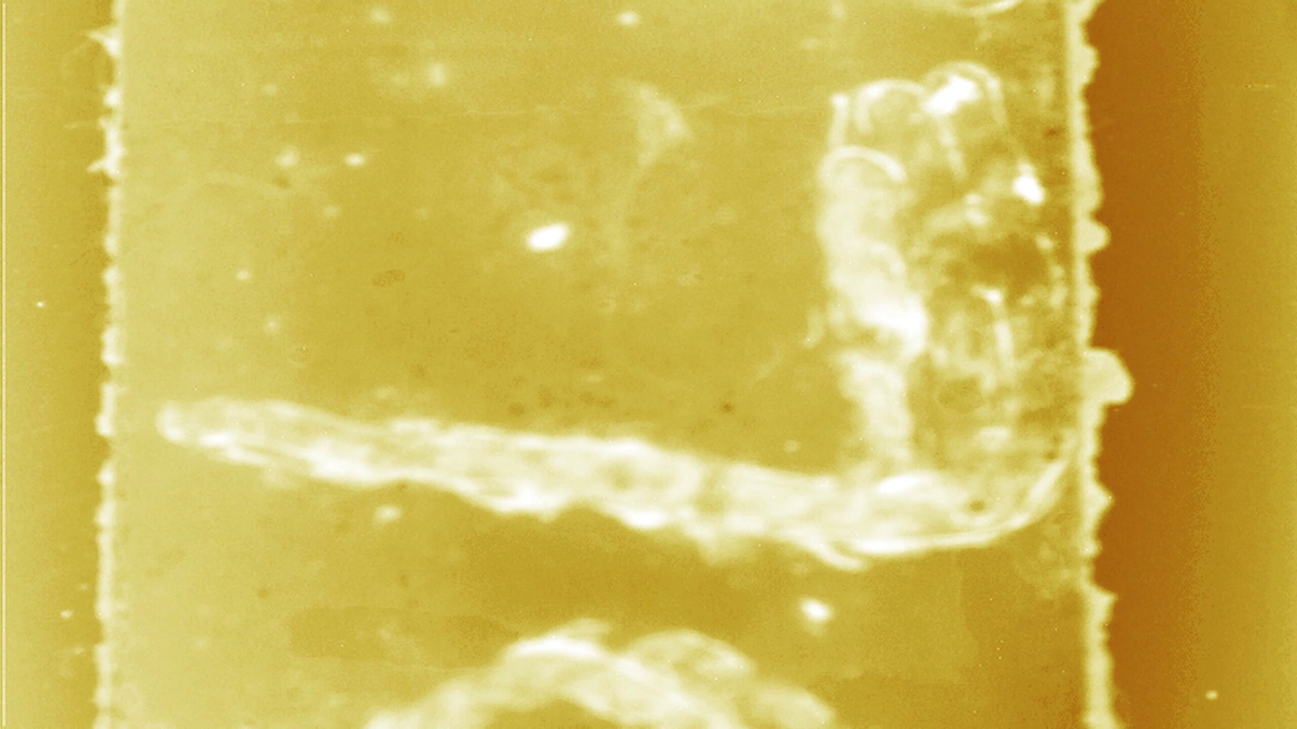 4K video loop of sepia-tinted film leader transitioning from glowing letters to soft amber gradients.