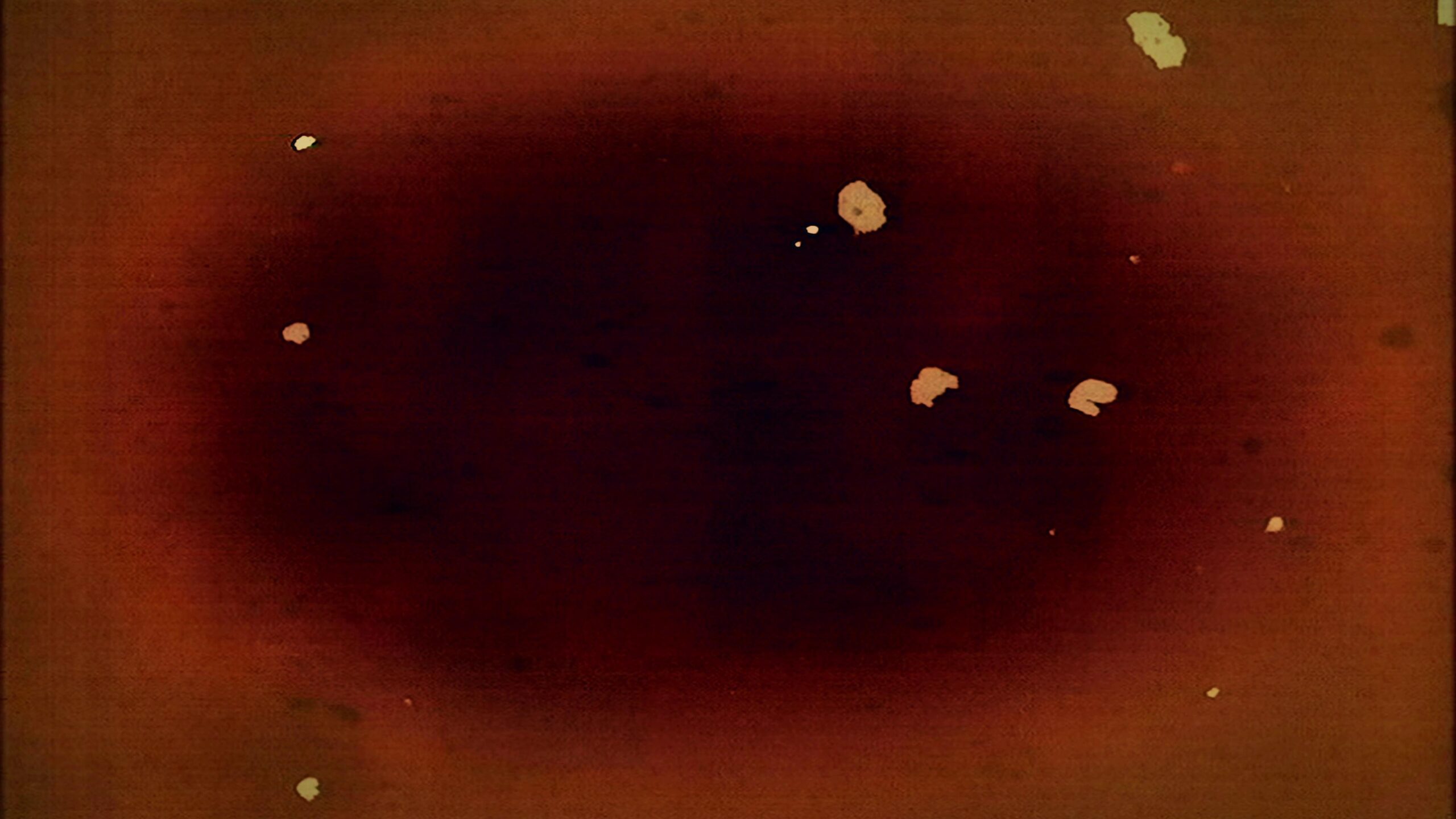 4K video loop of vintage red-toned film leader with floating particles on distressed surface.