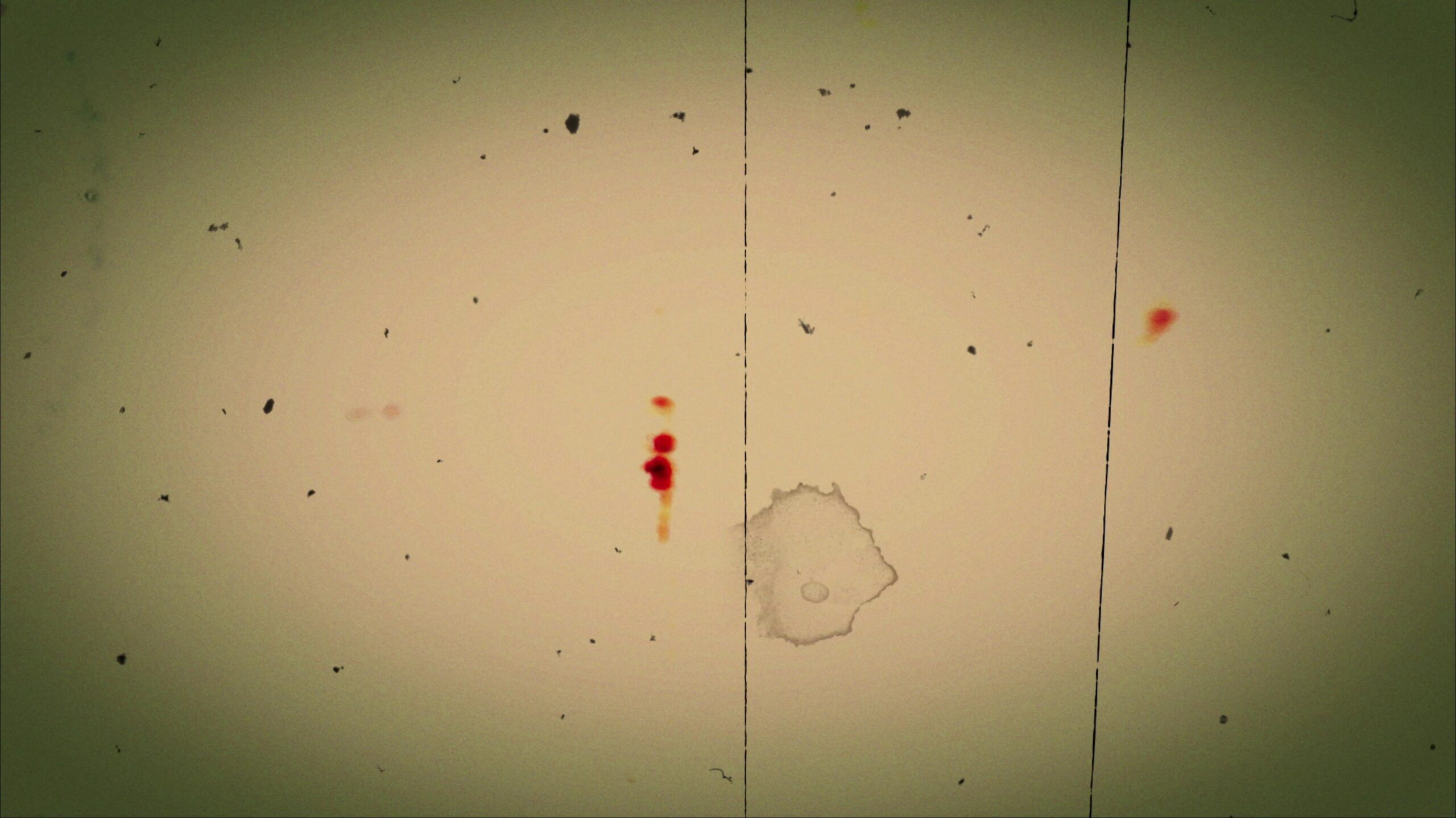 4K video loop of old 16mm film leader with dirt spots and hand-drawn markings