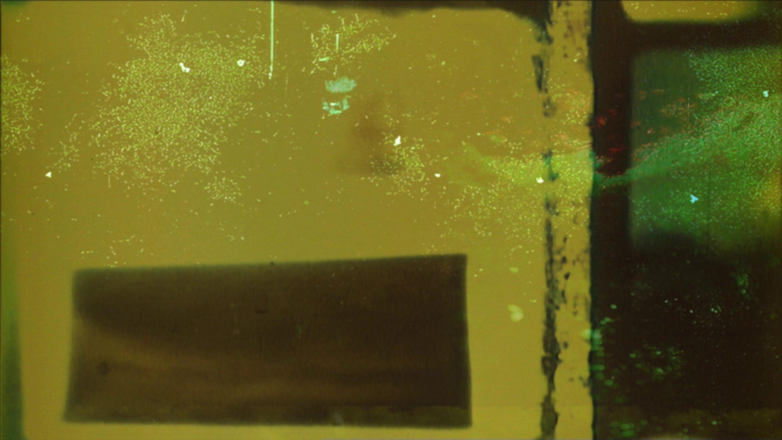 4K grainy retro film leader with color distortion and dust particles.