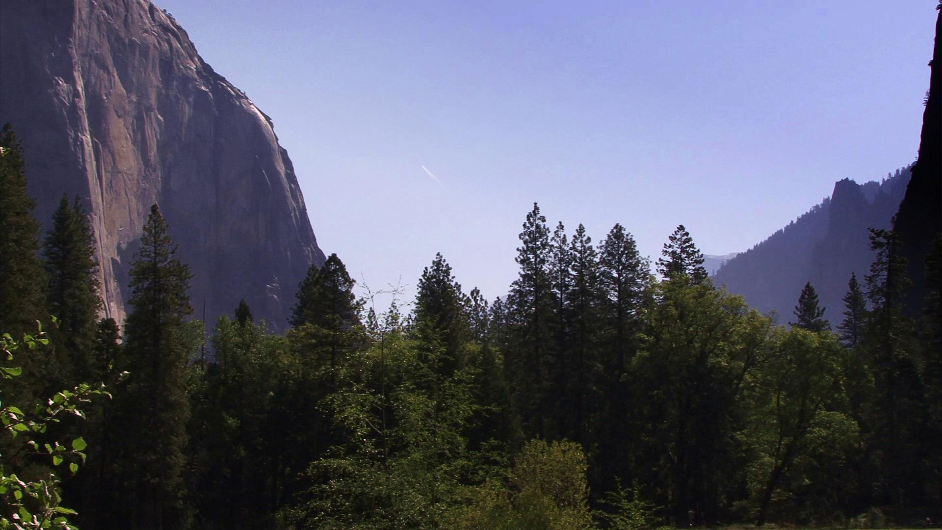 Towering mountains loom over tranquil pine forests under clear skies.
