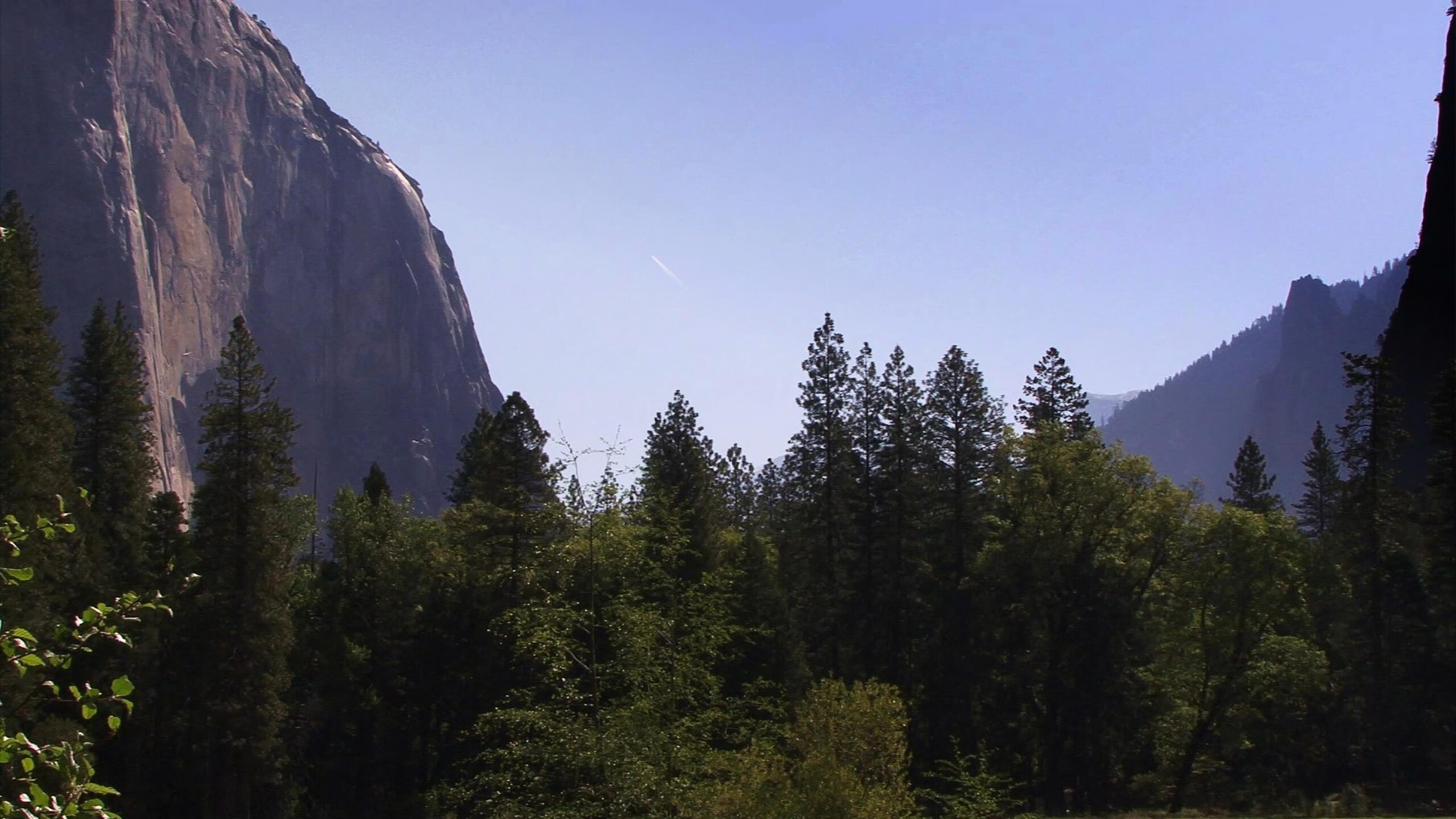 Towering mountains loom over tranquil pine forests under clear skies.