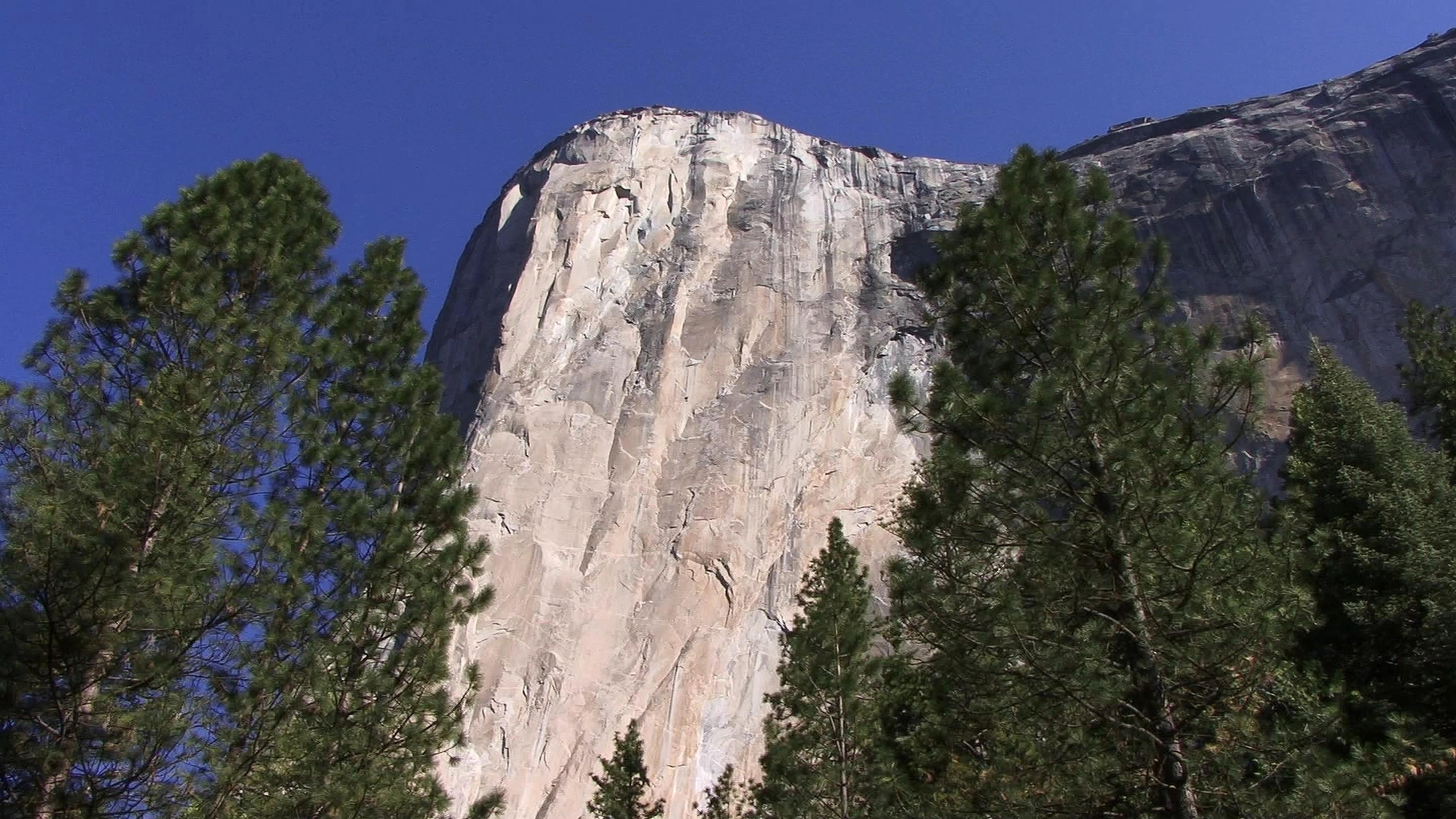 Towering granite cliff viewed through pine trees under clear blue sky.