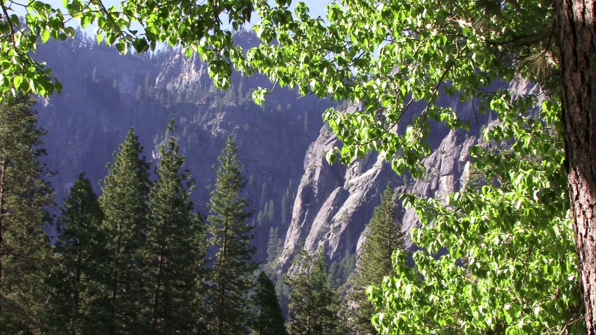 A serene forest landscape featuring towering cliffs and lush greenery under dappled sunlight, with a backdrop of majestic rocky formations.