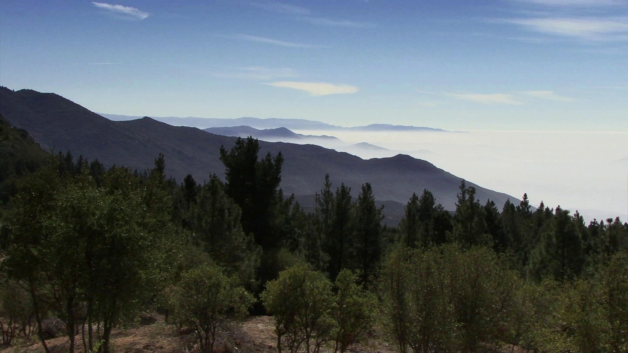 Serene mountain valley view with lush greenery and layered foggy horizons.