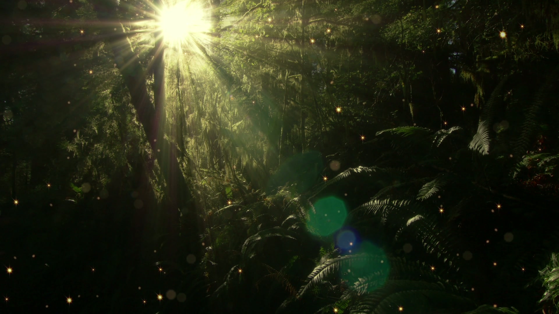 A serene forest scene with sunlight filtering through dense foliage, casting ethereal rays over lush ferns and moss-covered trees, enhanced by sparkling particles floating in the air.