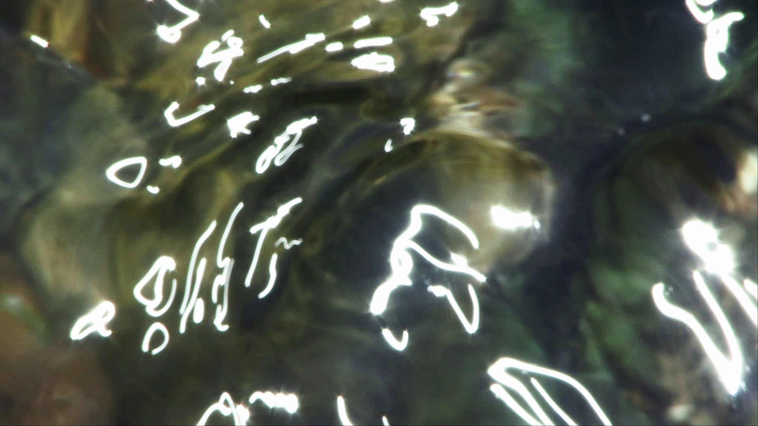 Underwater glow effect from filtered sunbeams