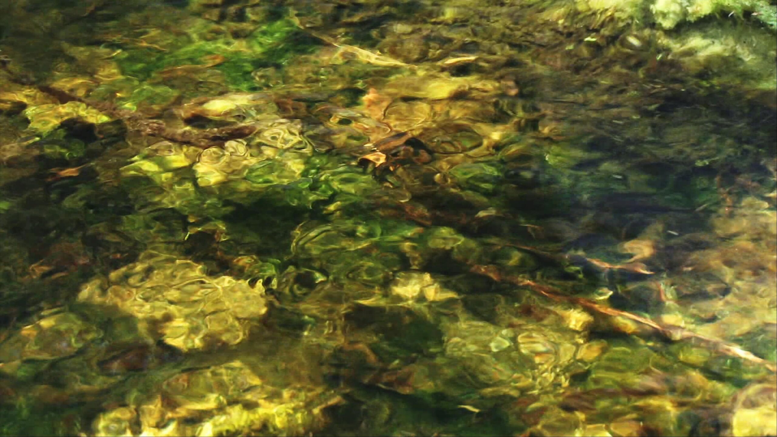Clear creek water reflecting sunlight on rocks