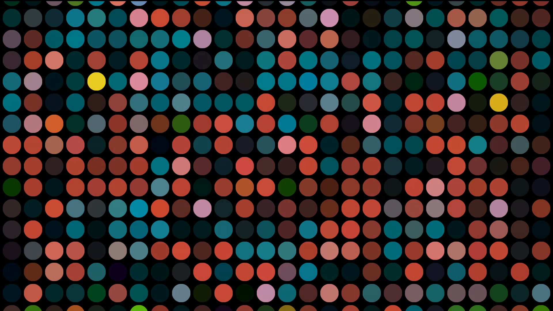 Abstract looping video featuring a grid of multicolored dots against a black background, showcasing vibrant teal, red, orange, pink, and yellow shades in a modern geometric pattern.