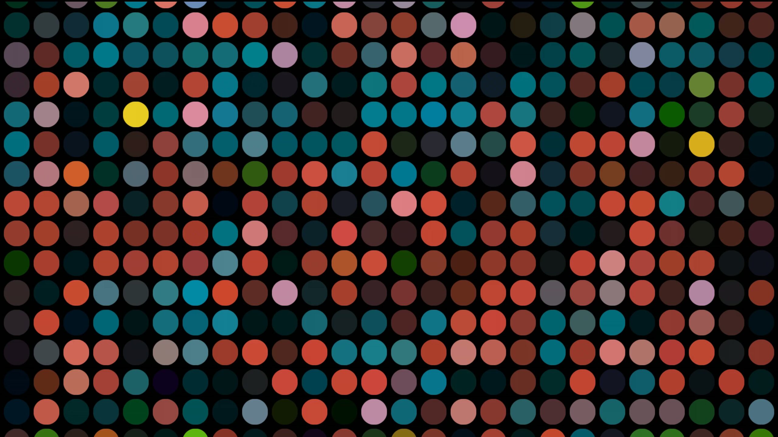 4K looping video of vibrant pattern of multicolored dots on a black background.