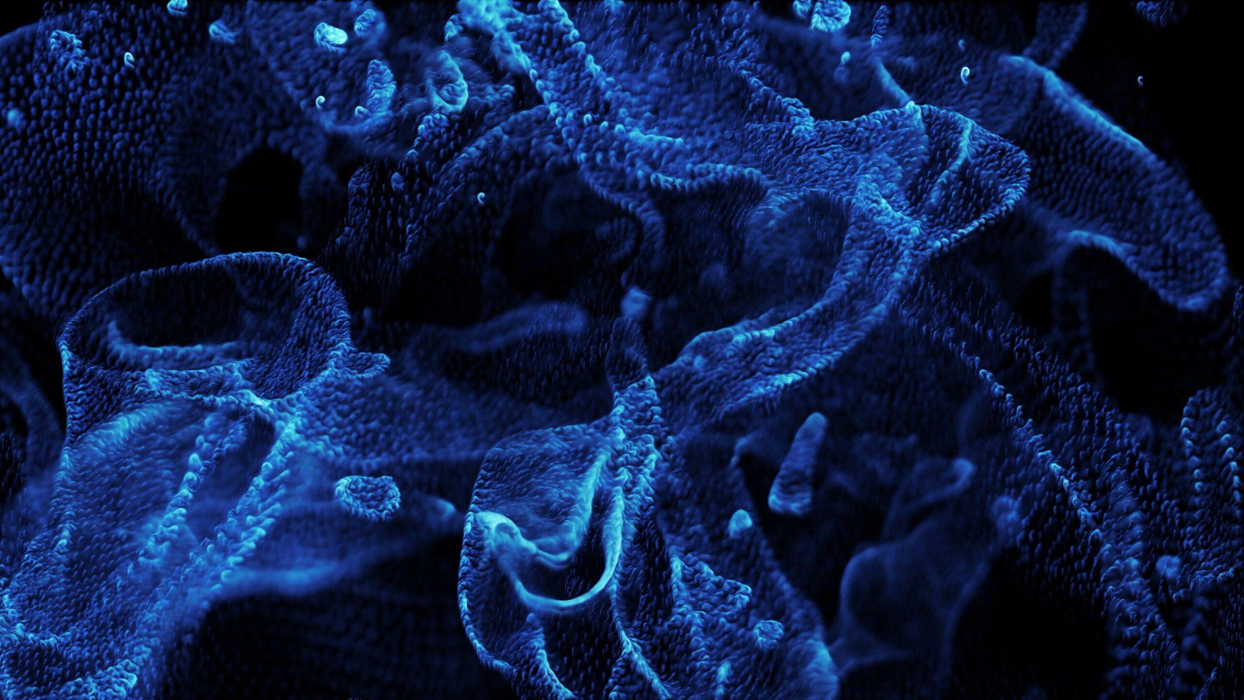 The mesmerizing 4K particle scene unfolds with a deep blue floor teeming with life and texture. Tiny bioluminescent creatures drift gracefully through the water, their glowing forms casting an ethereal glow against the dark abyss below.