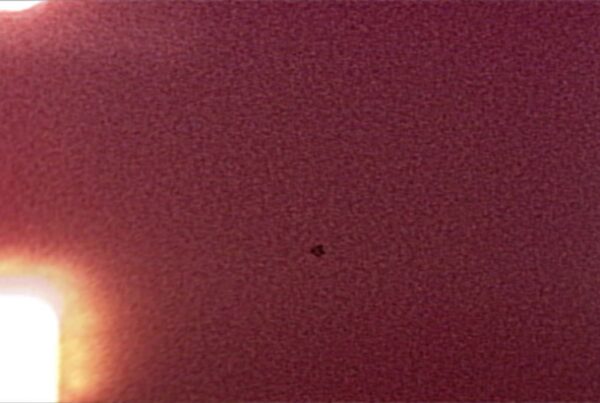 A video loop showing vivid moments from a deteriorating film leader as it flickers violently in a projector.