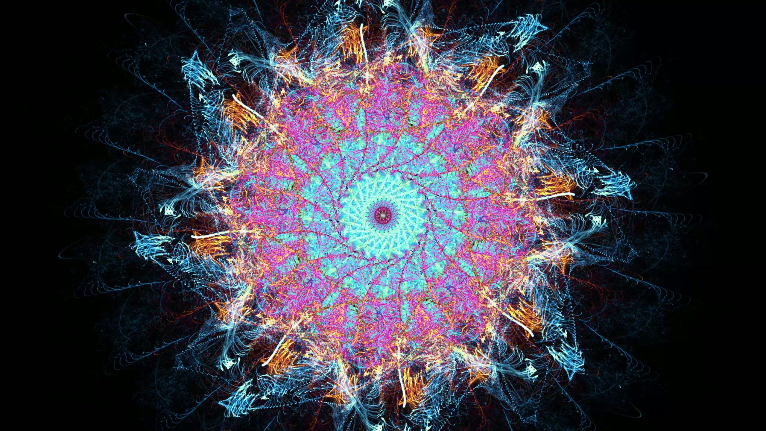 An intricate 4K video loop fractal mandala design with vibrant colors on a dark background, featuring detailed symmetrical patterns.