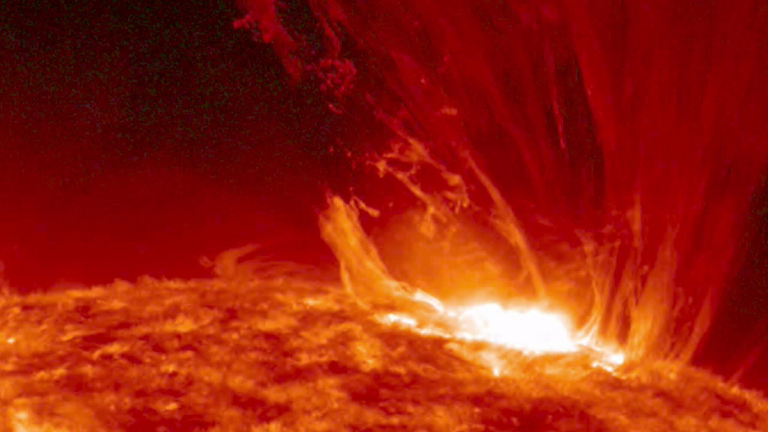 4K video of an intense solar flare erupting from the Sun's surface, showcasing vivid colors and plasma strands.