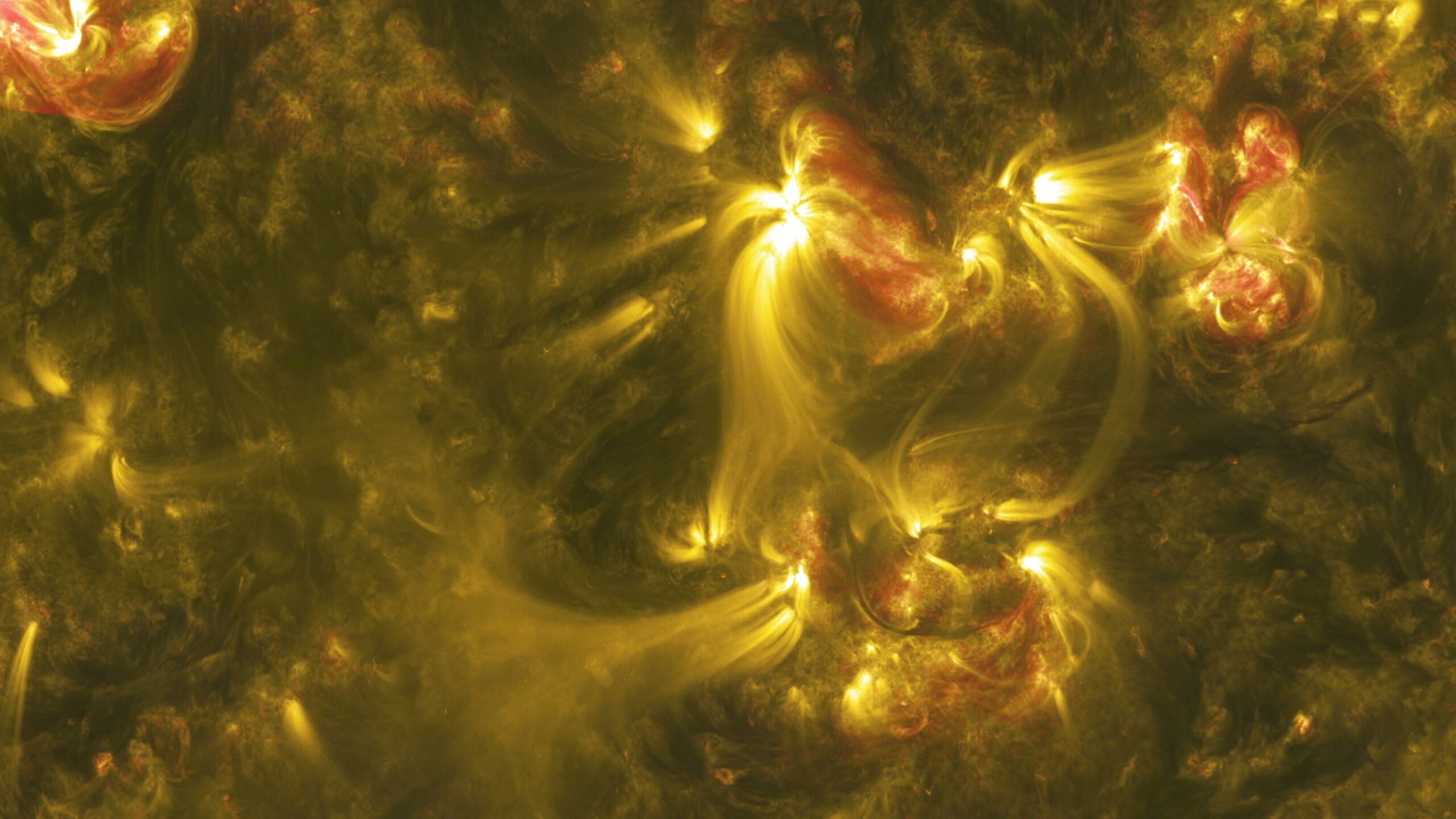 4K video showing the Sun's magnetic loops and plasma activity in dynamic patterns.