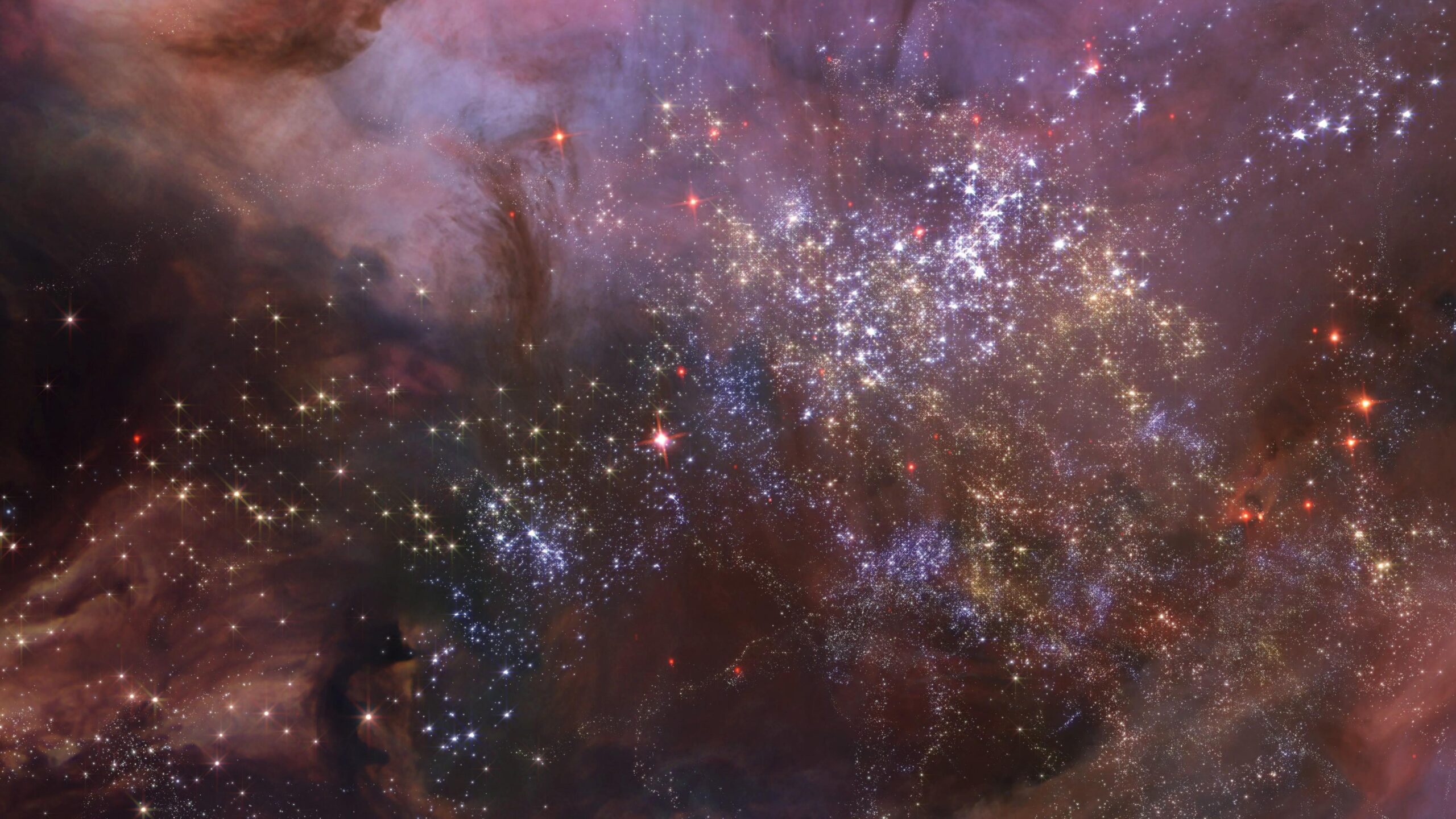A stunning 4K video loop of a cosmic journey through stars, nebulae, and interstellar beauty.