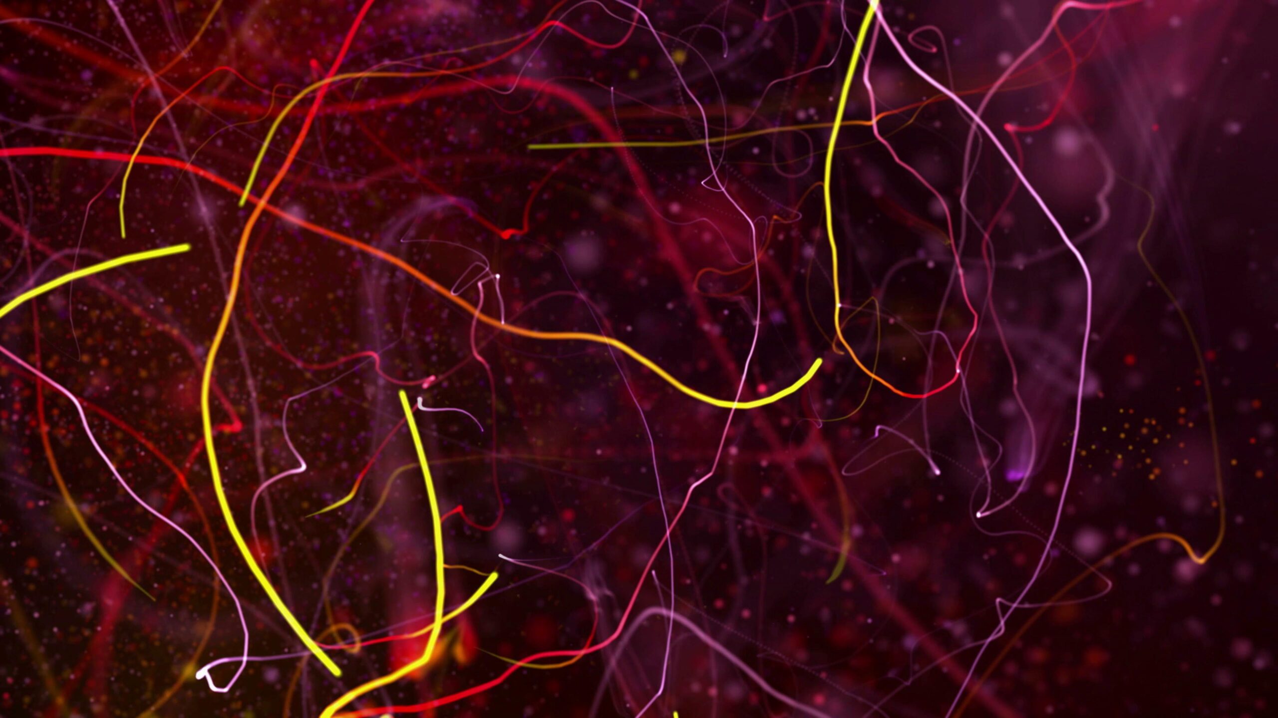 4K video loop of a vibrant abstract 3D animation featuring colorful, wispy lines and bright particles against a dark background, creating a sense of chaos and energy.