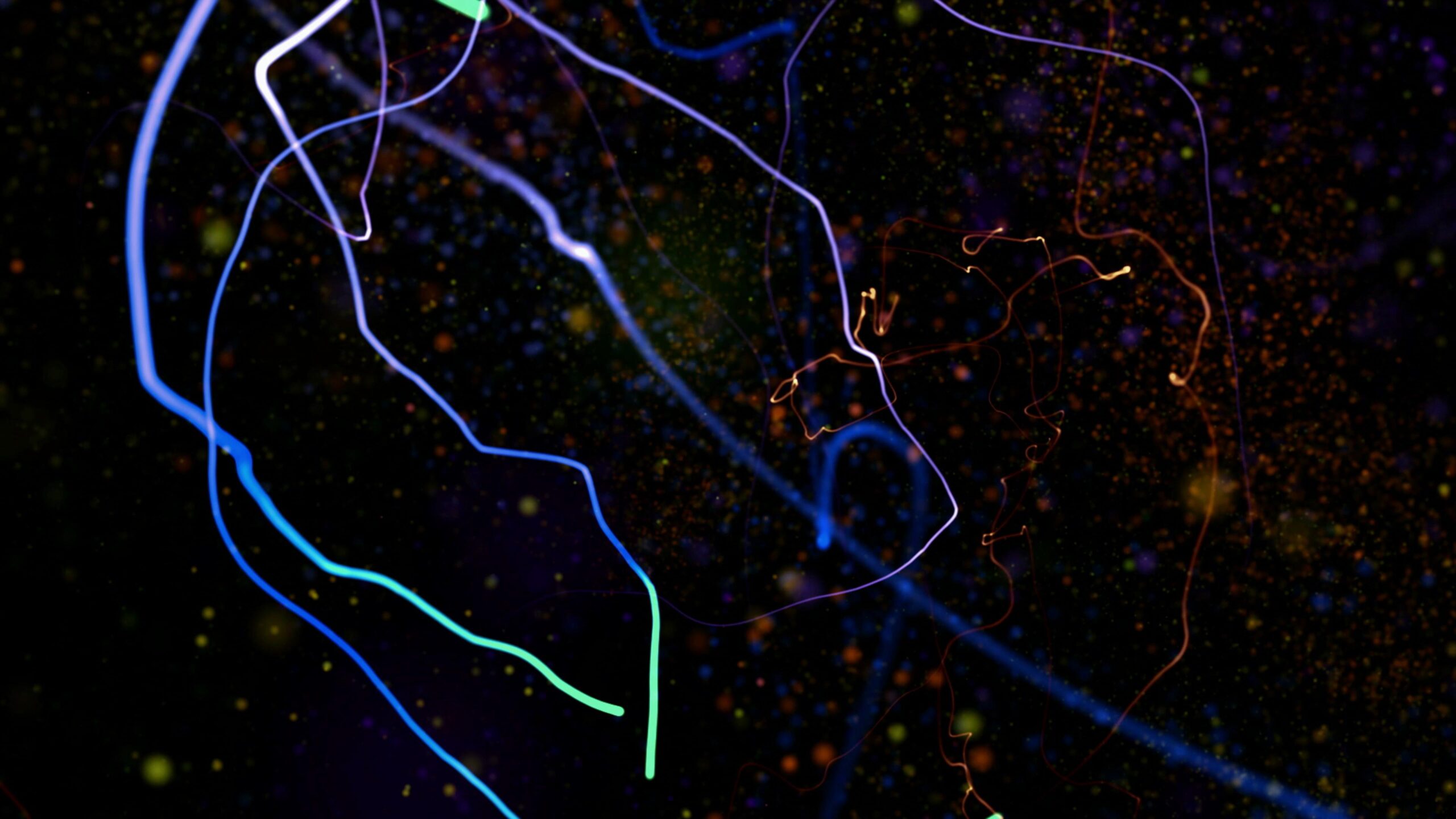 A vivid abstract 4K video loop featuring colorful, intertwining light trails and particles on a dark background.
