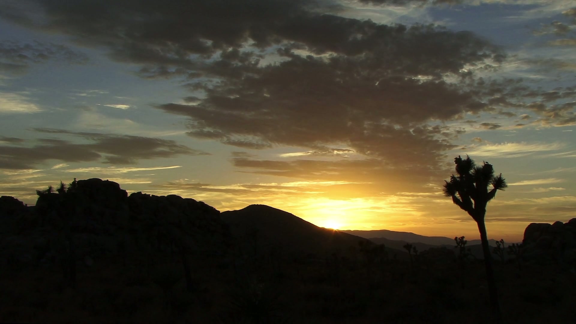 A stunning tim-lapse sunset over a desert landscape, featuring a silhouetted Joshua tree against a golden sky with scattered time-lapse clouds and distant mountains.