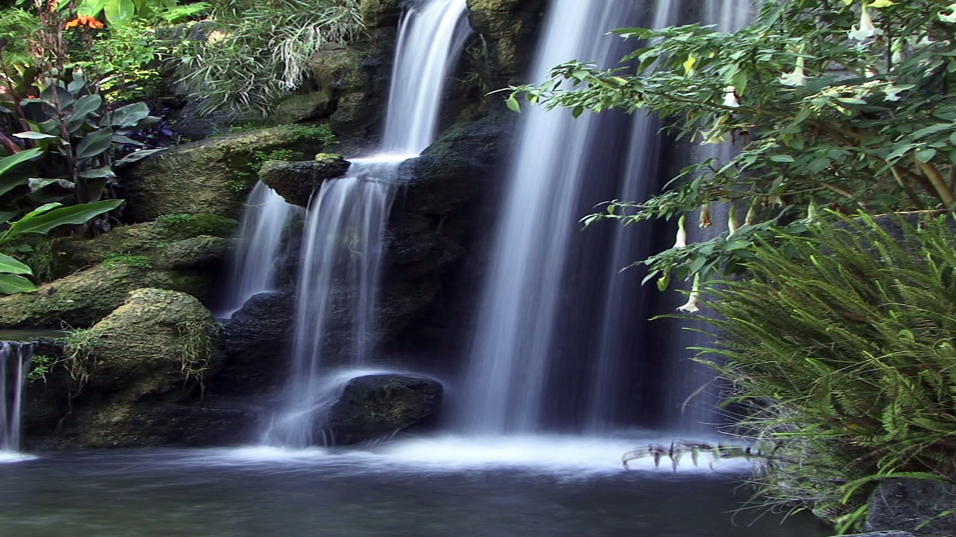 Beautiful time-lapse waterfall flowing in lush jungle landscape, surrounded by green plants and vibrant flora.