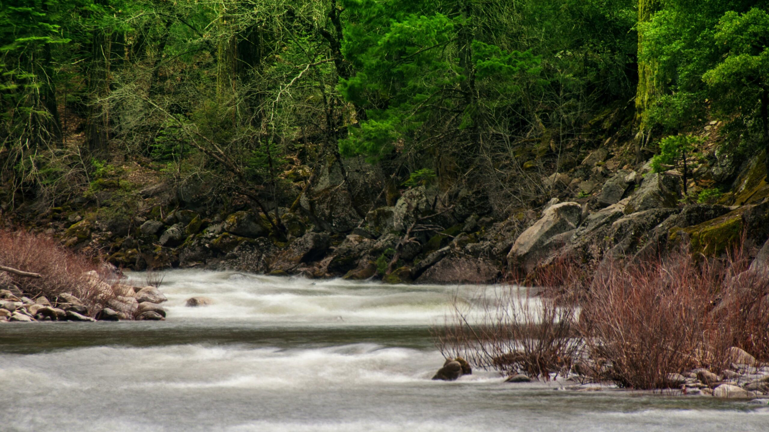 4K video of a tranquil time-lapse river flowing through a lush green forest surrounded by rocks and trees.