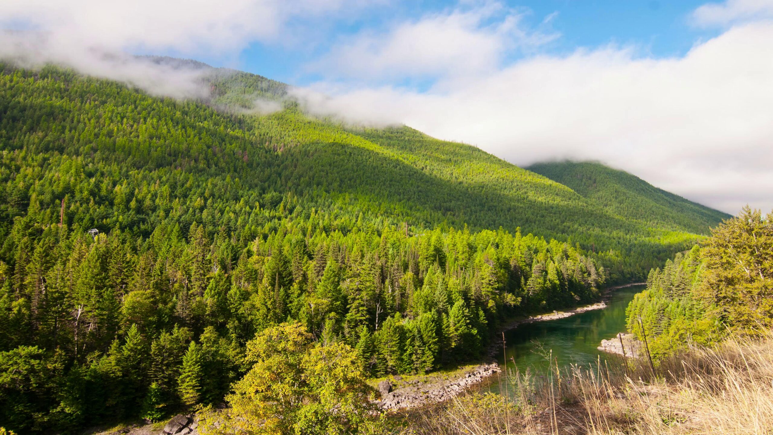 4K video of a peaceful forest with rolling hills and a winding river on a time-lapse cloudy day.